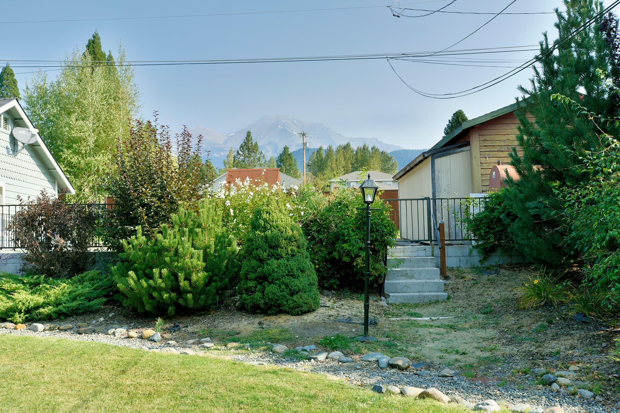 Shasta Harmony