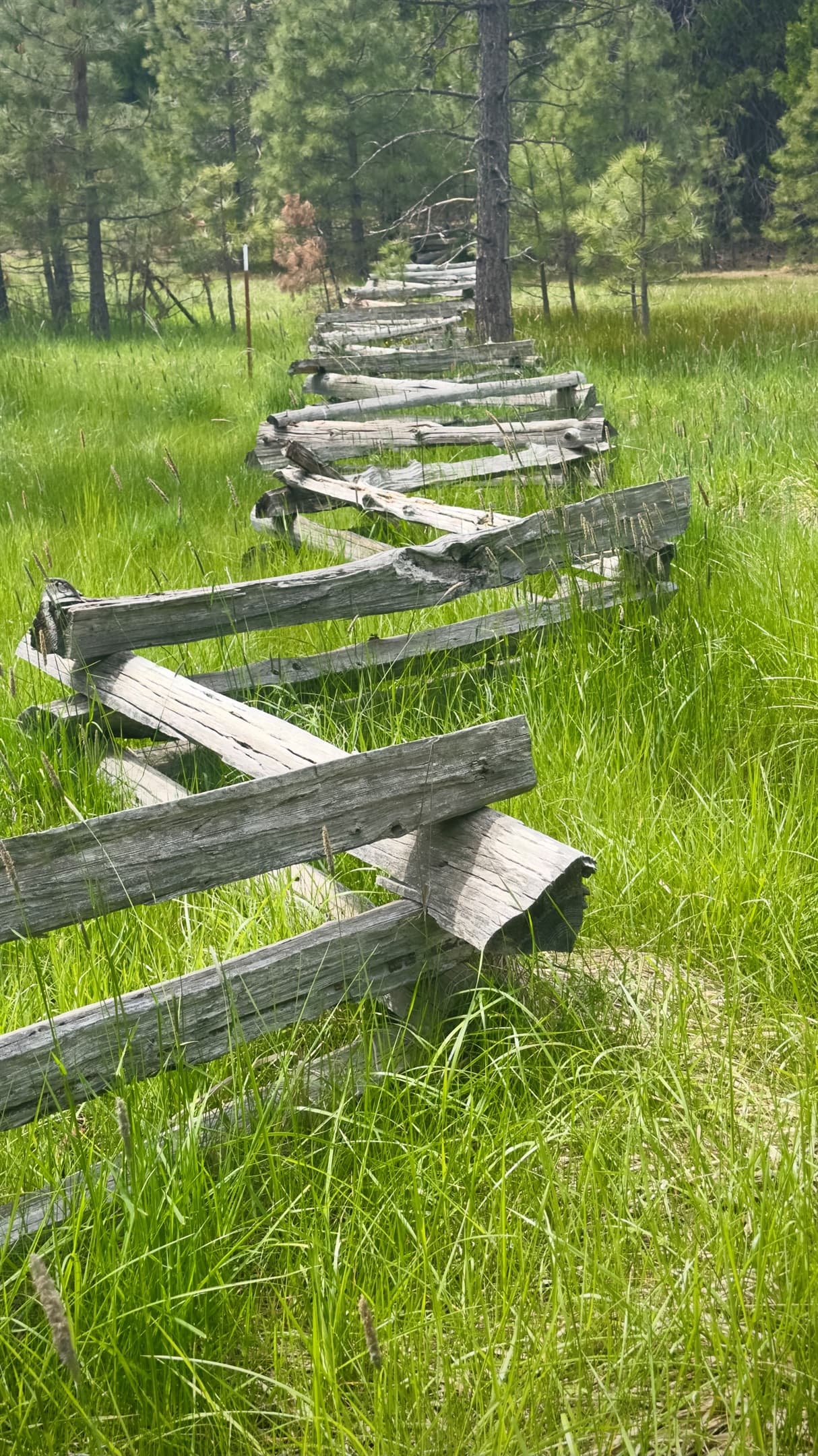 The Fence line
