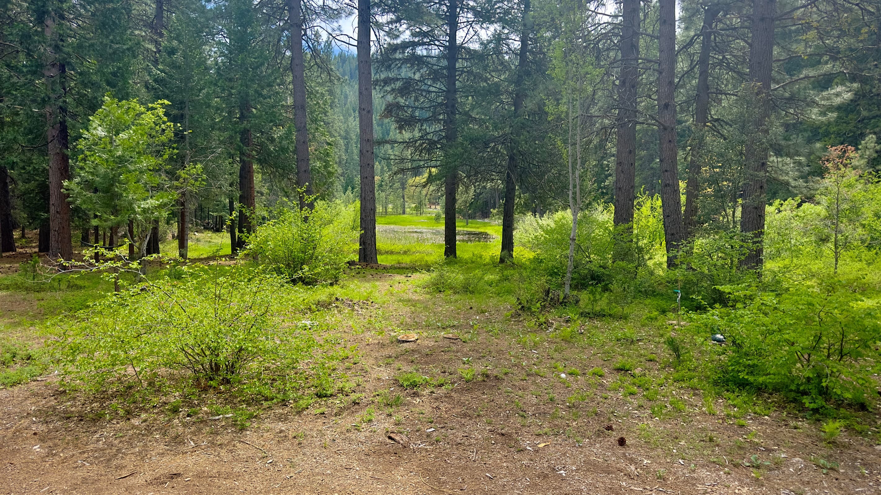 Pond & Meadow from the Deck