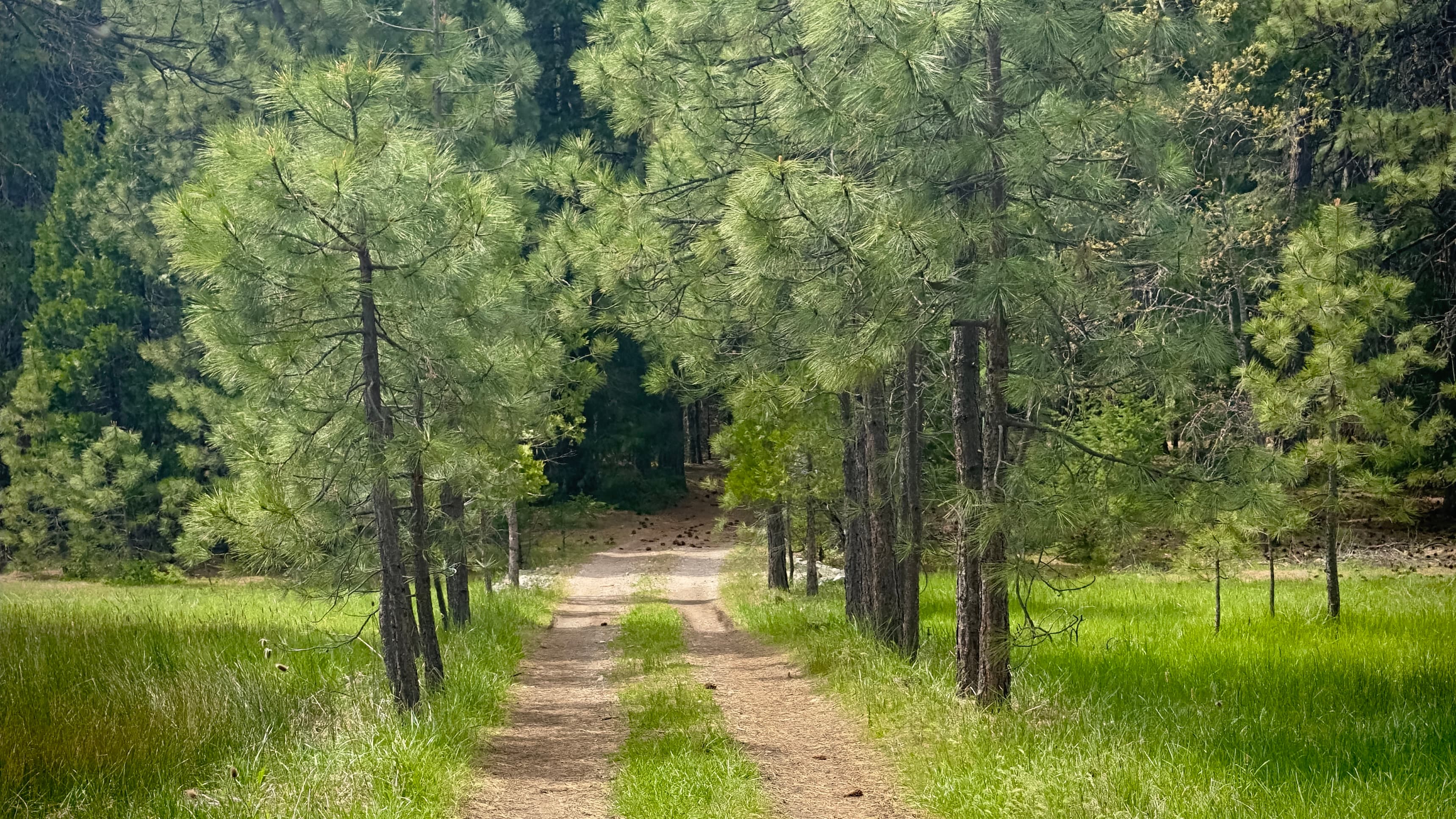 Country Driveway