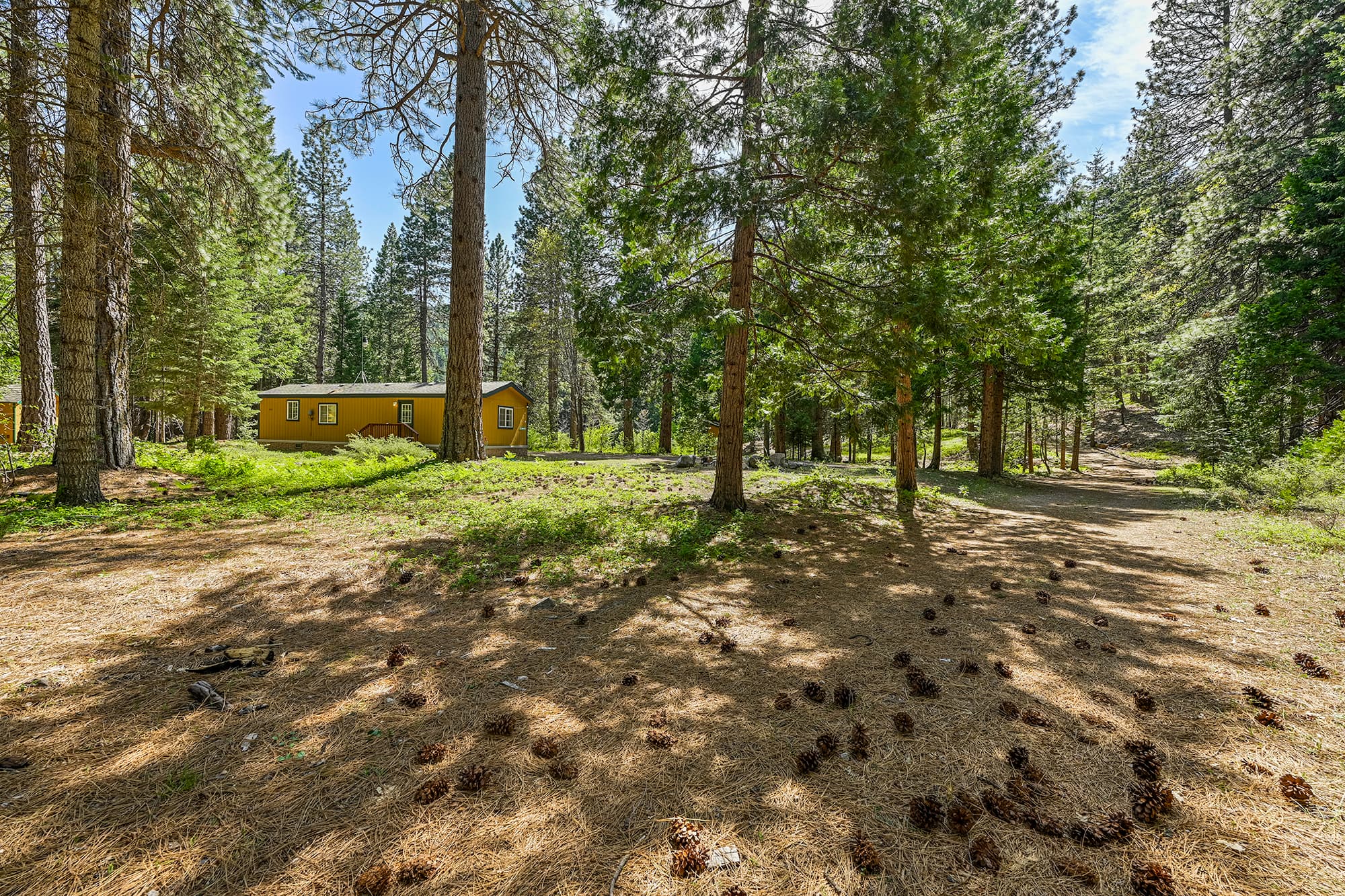 Trail view
