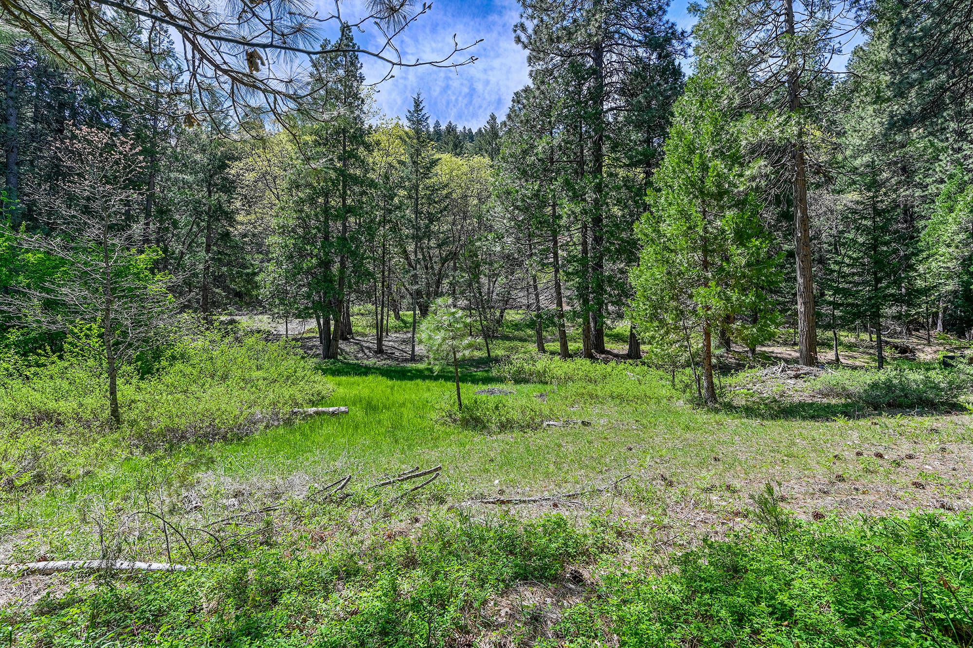 40 Acres