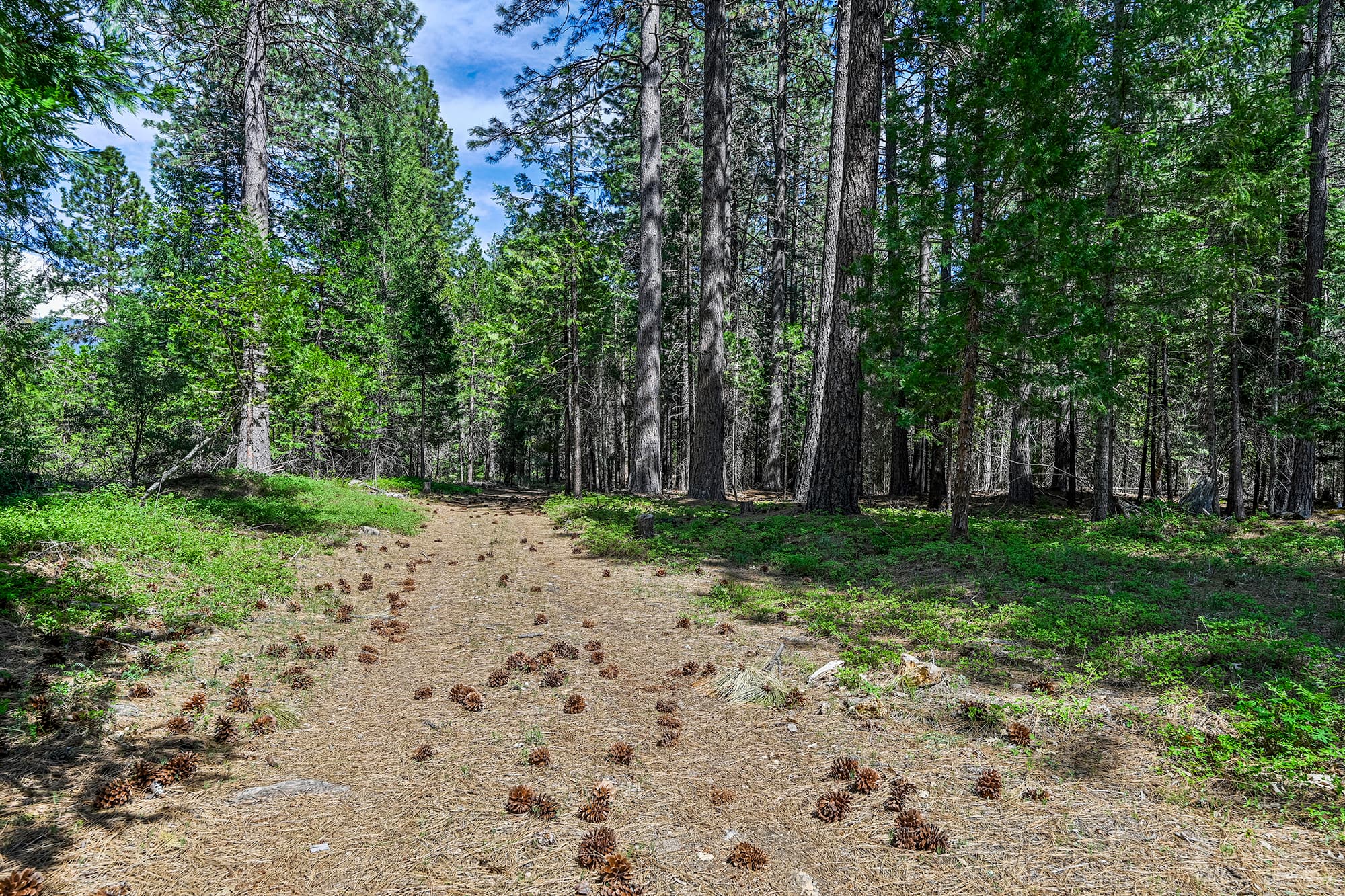 Explore the property
