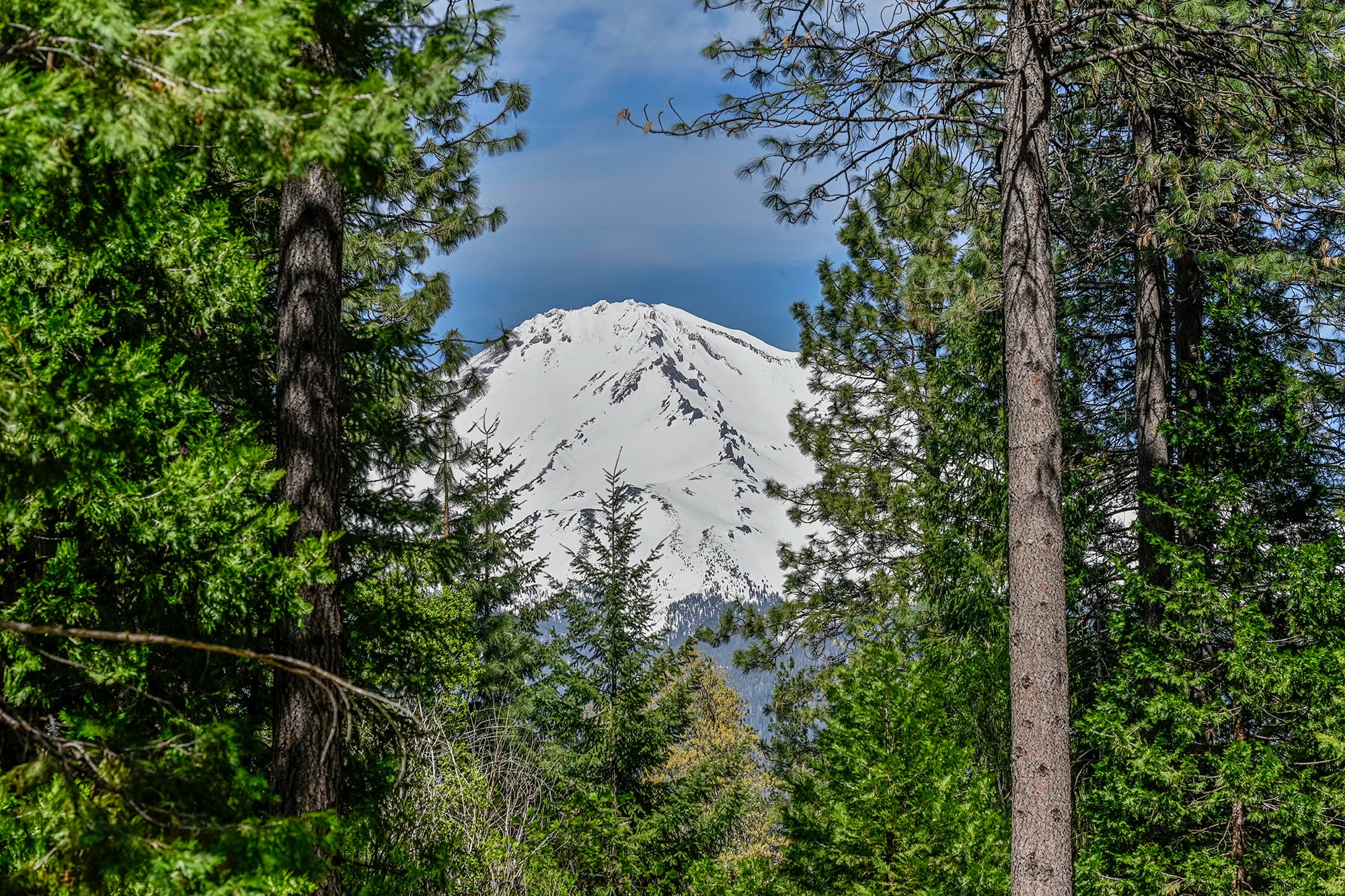 Mt. Shasta