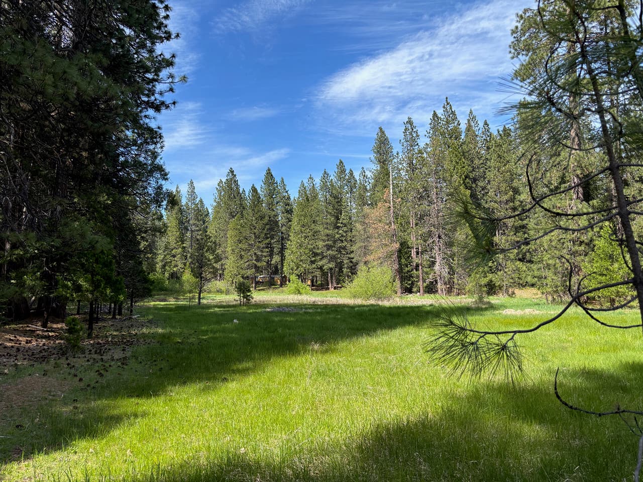 Front Meadow