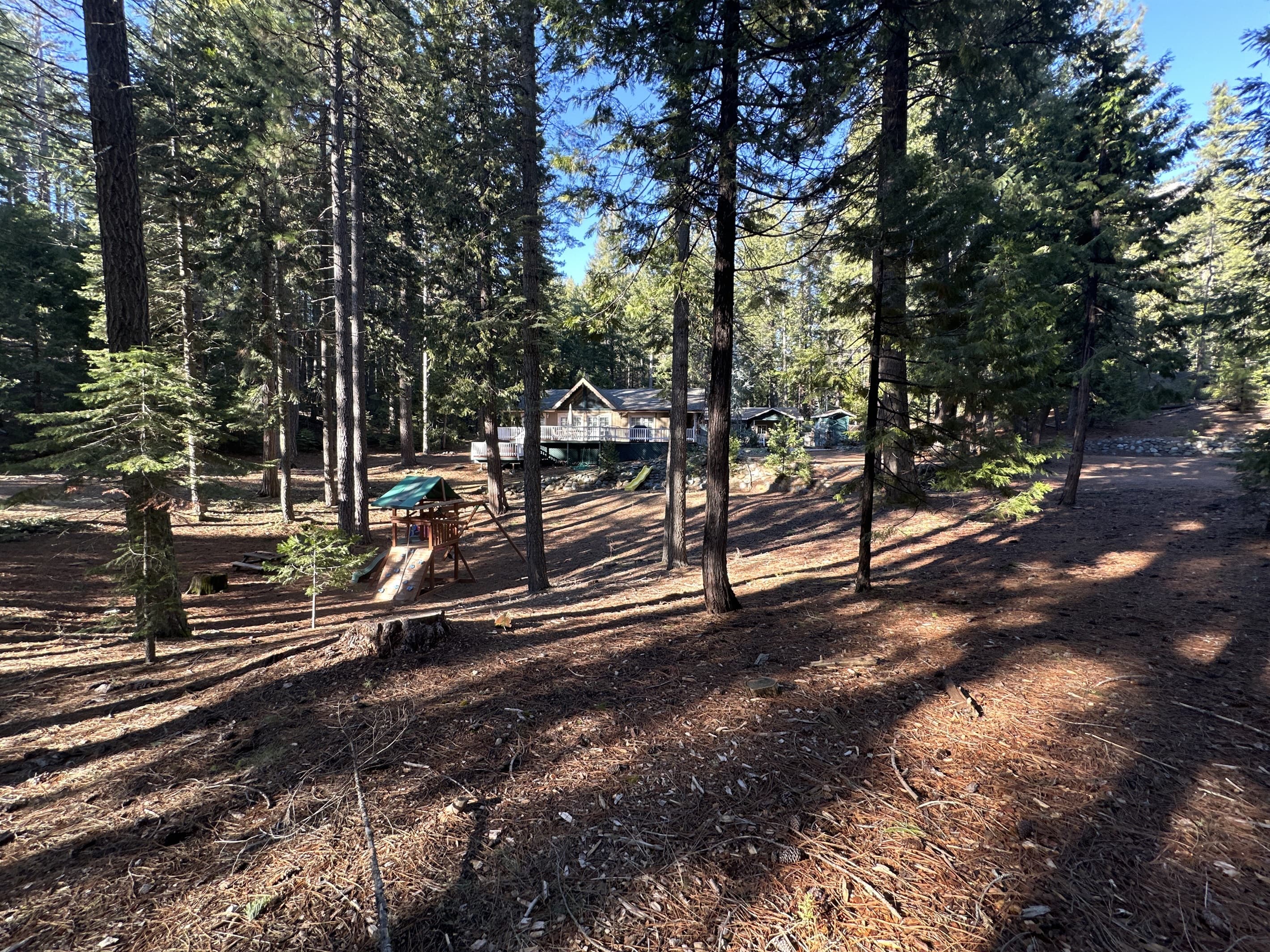 Lots of room to run and play