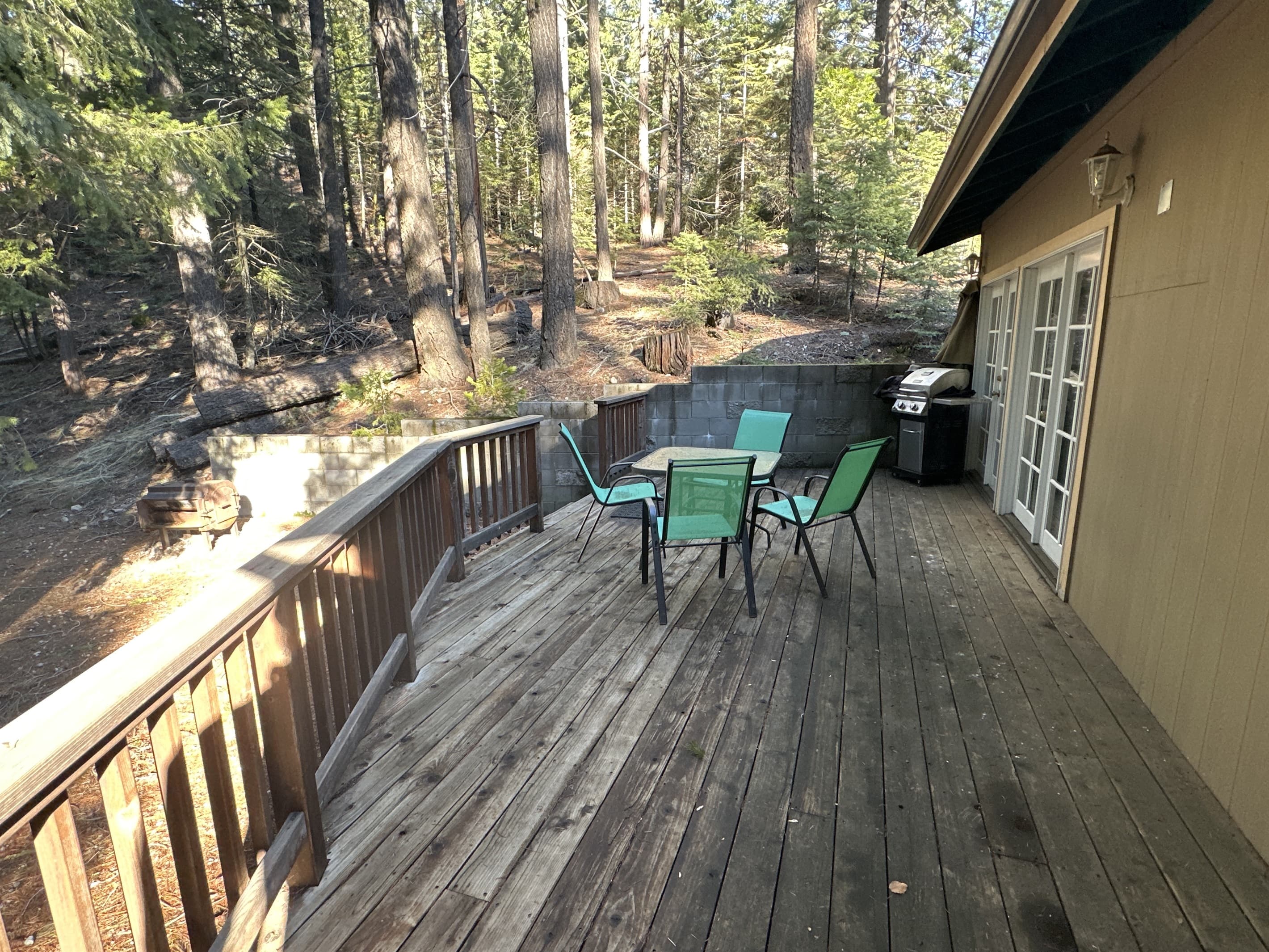 Cottage deck and BBQ