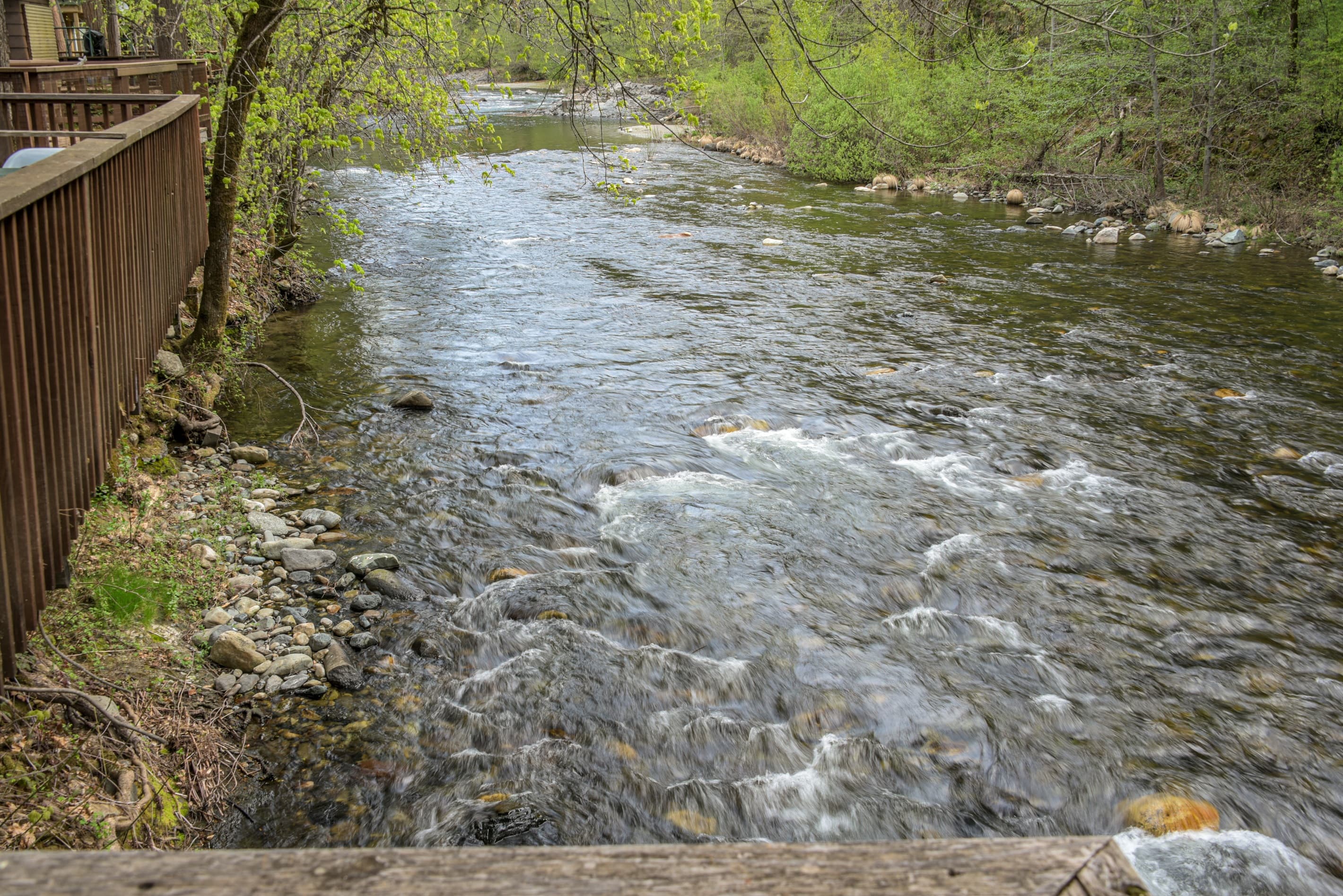 Late summer flows