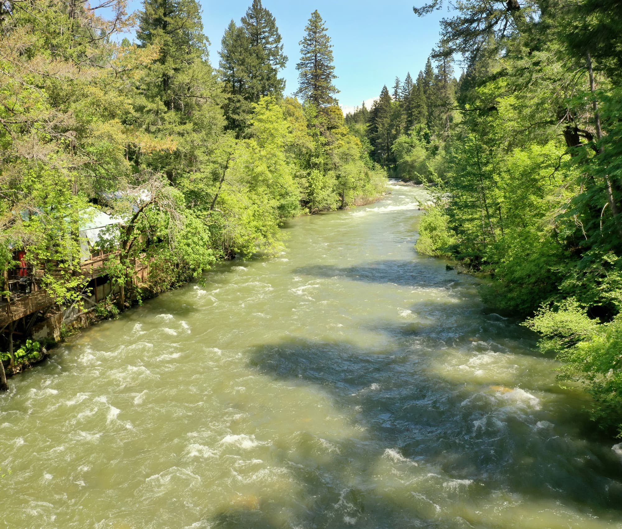 Spring Flows