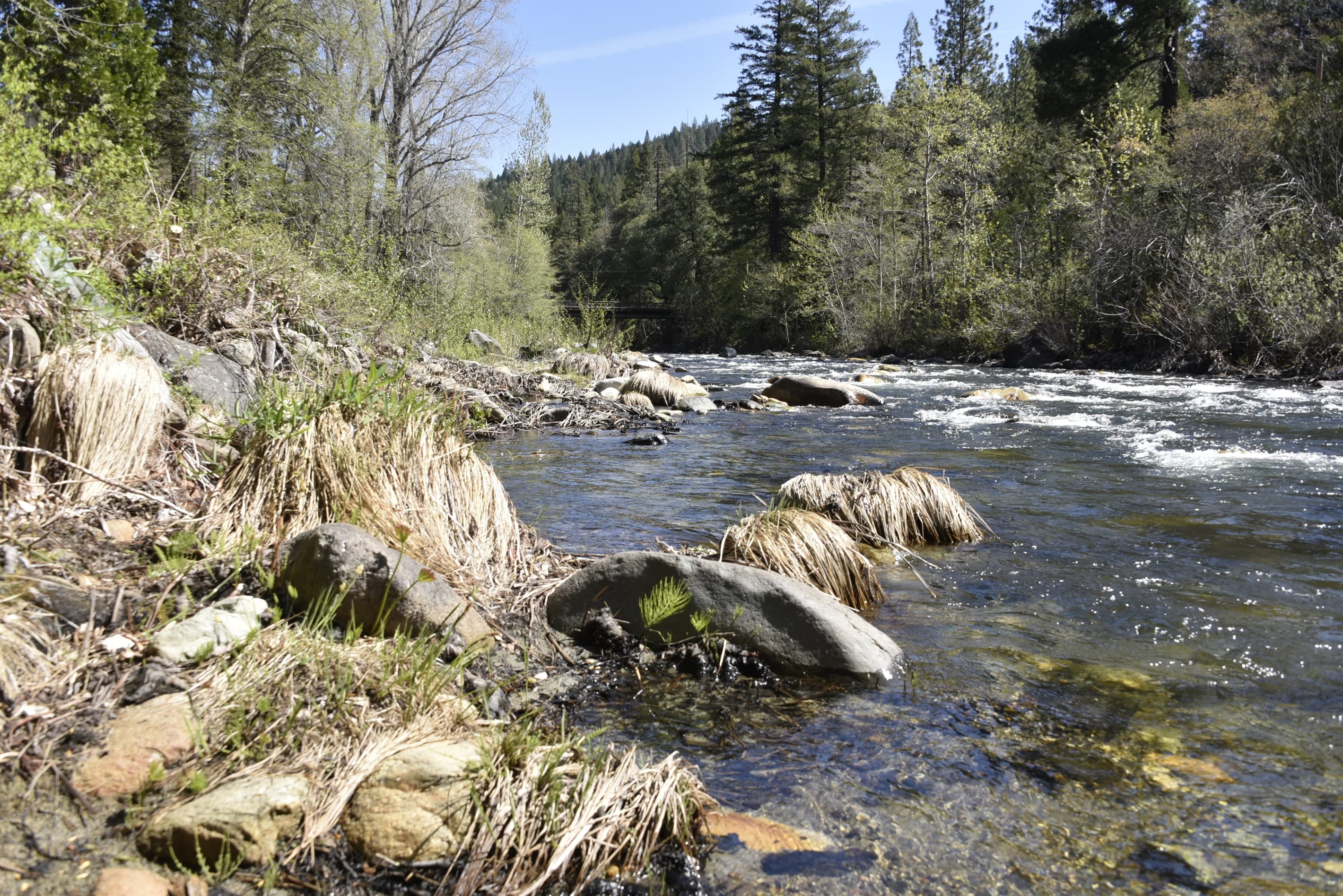 Early spring river access.