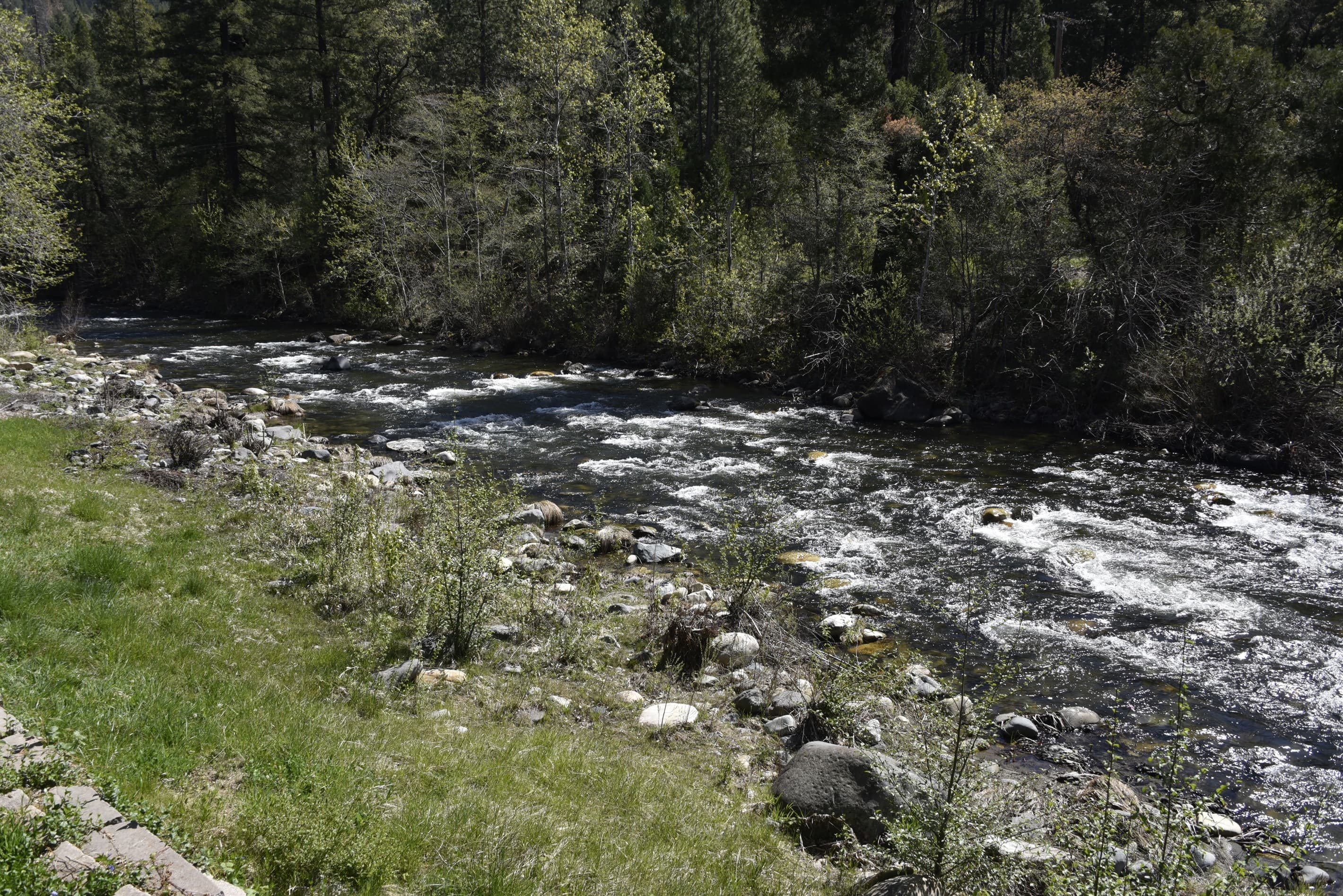 Your up river view.