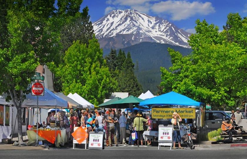 Summer farmers market