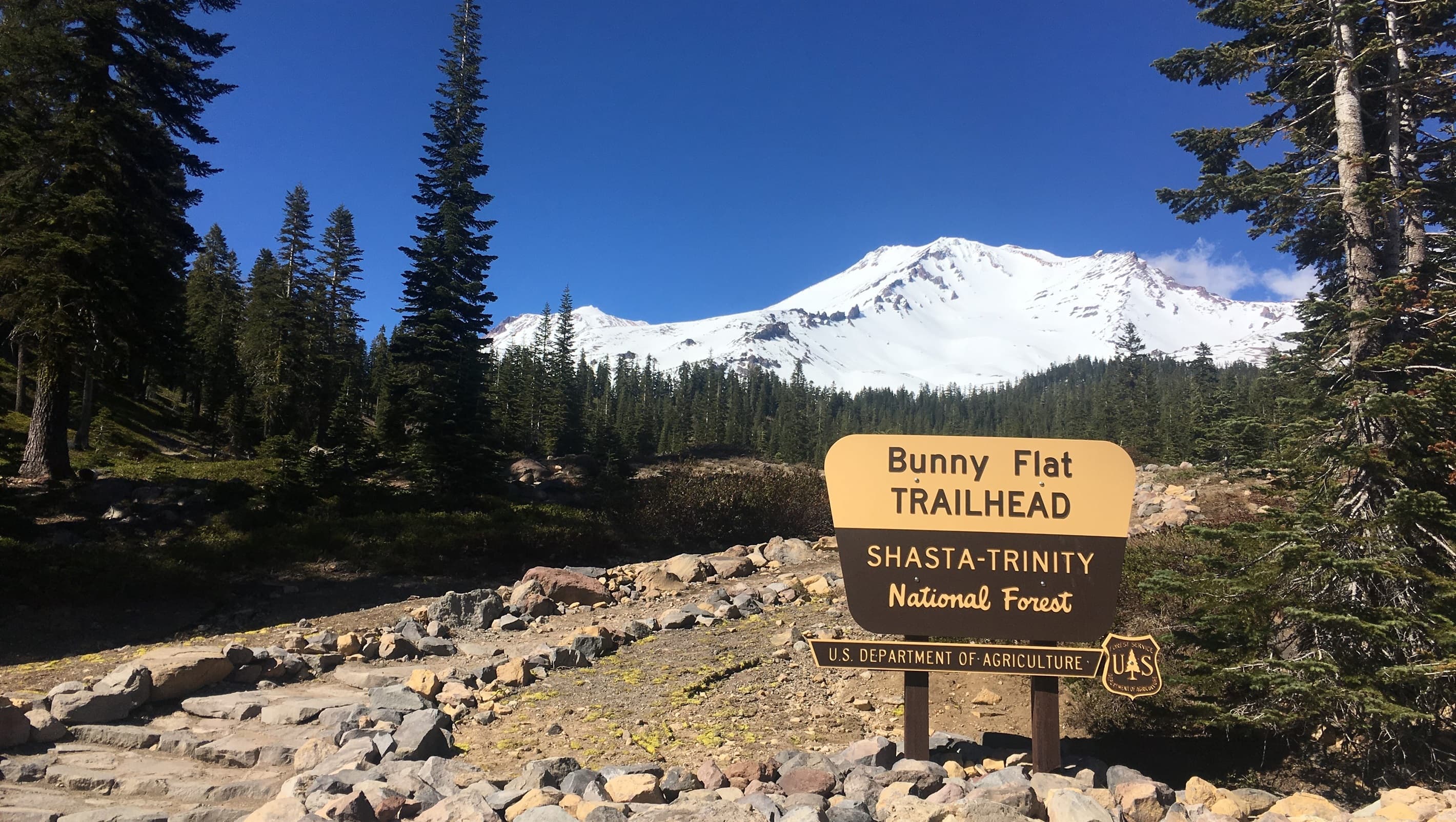 Endless trails start at Bunny Flat