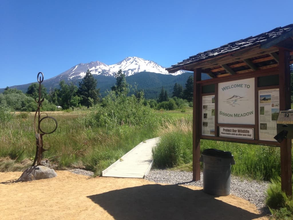 Sisson Meadow is right next door.
