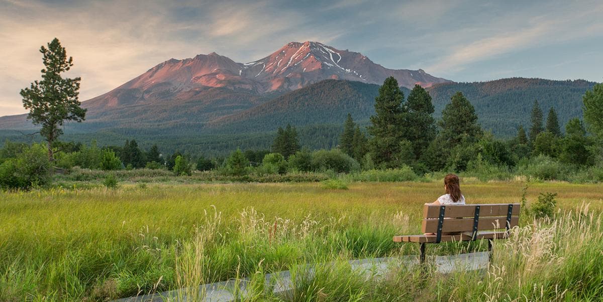 Serenity in Sisson Meadows