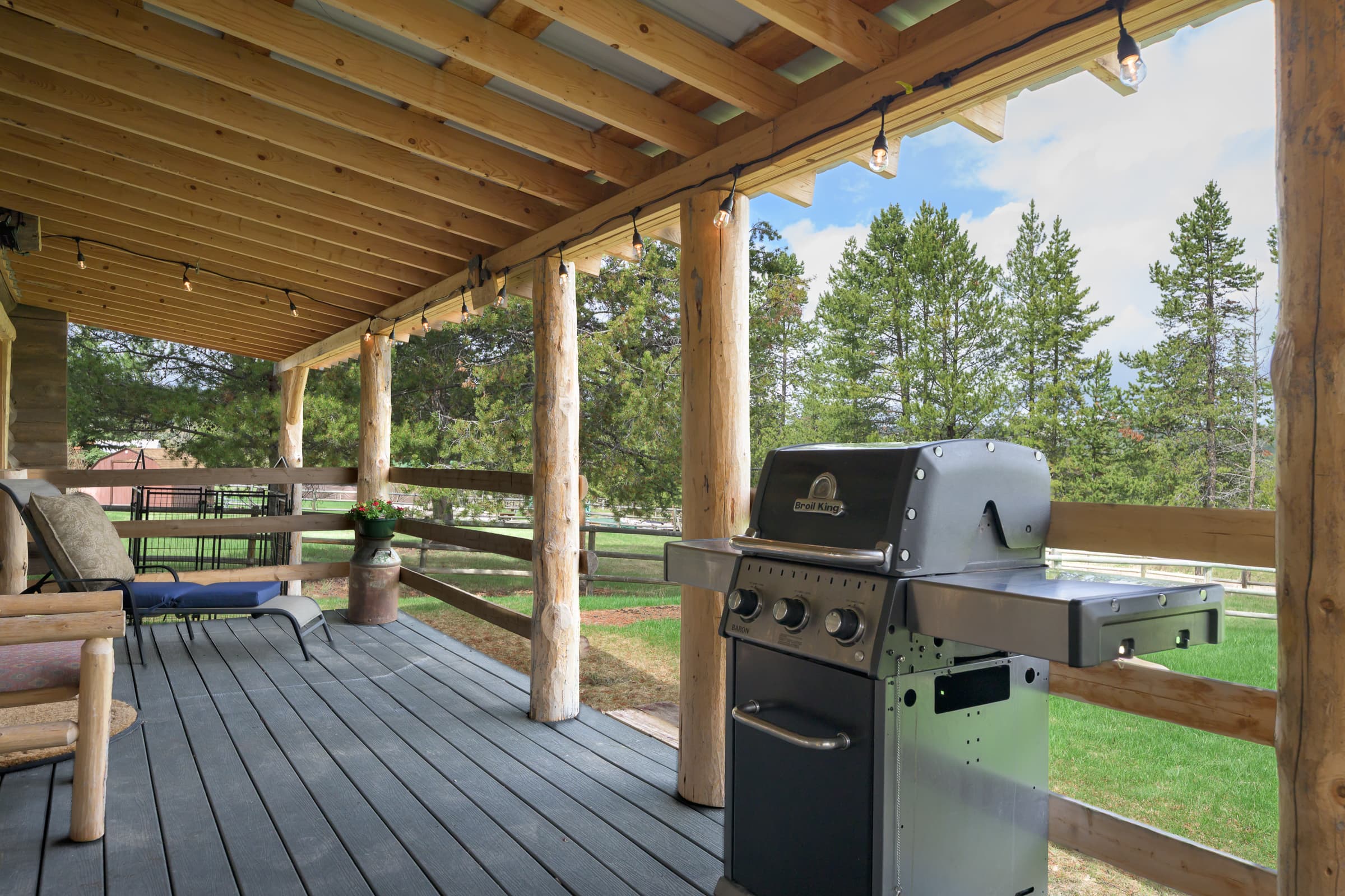 Gas grill for your BBQs