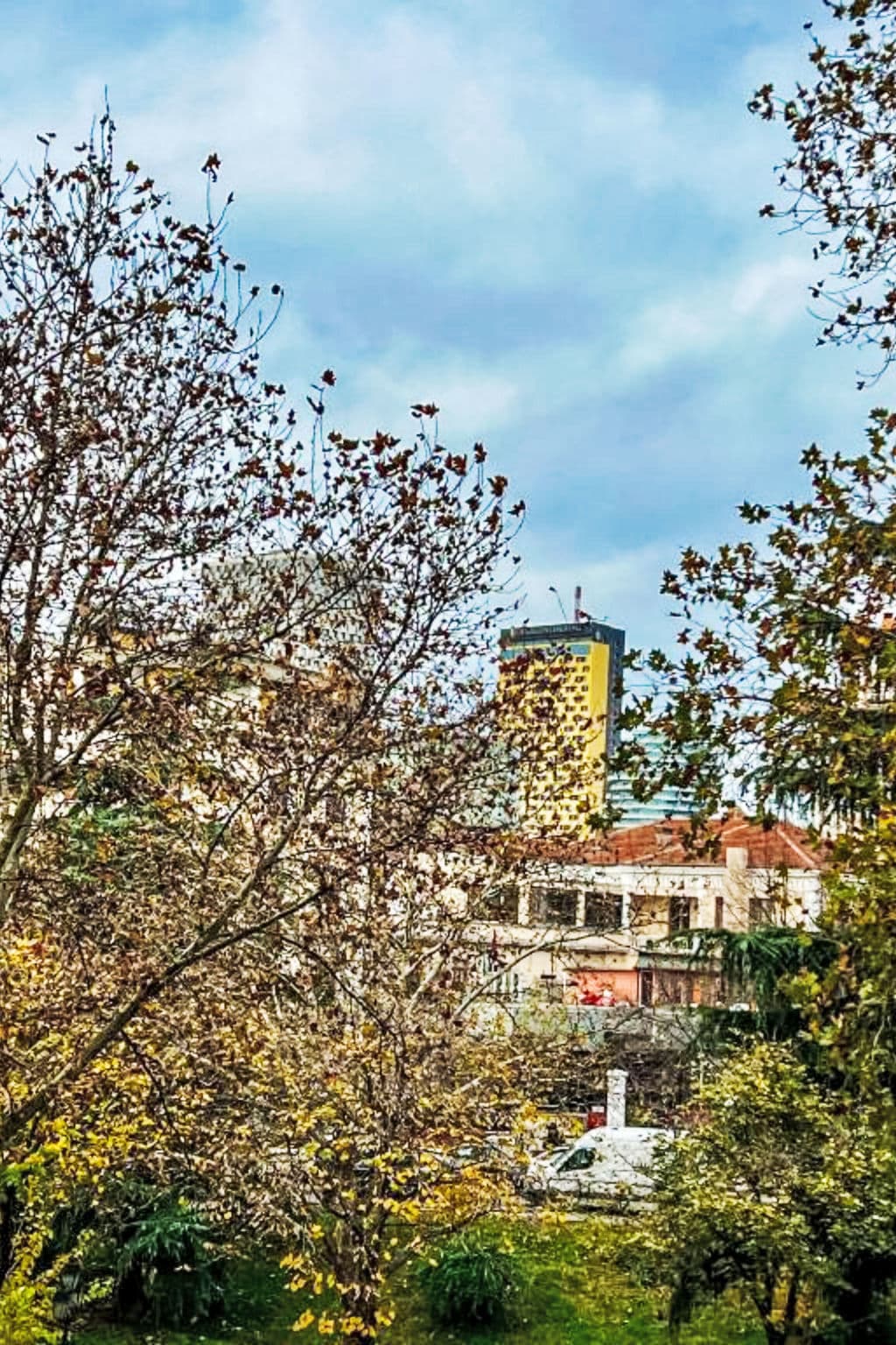 View