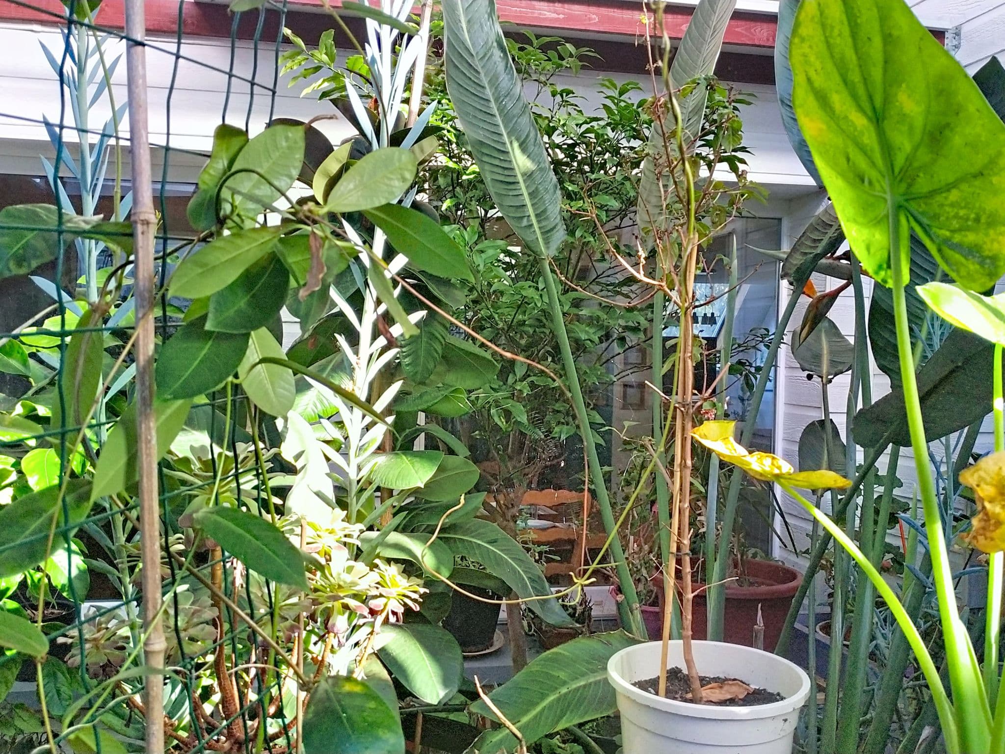 Inside other
