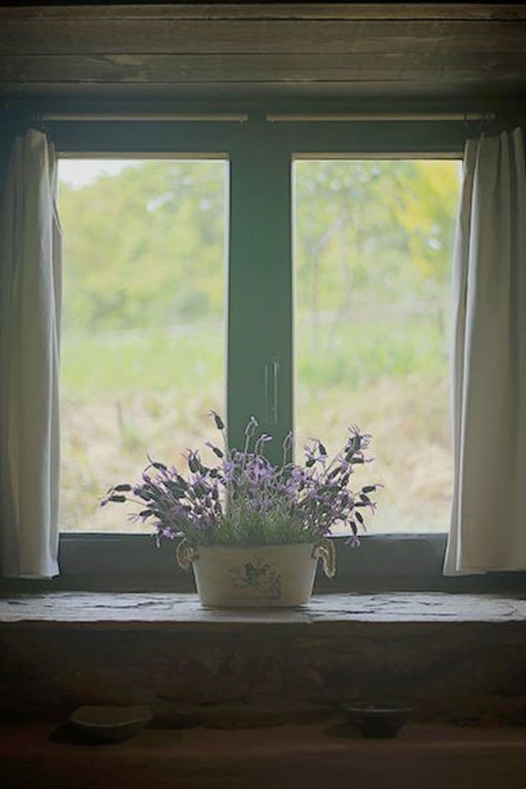 Gallery Image 21