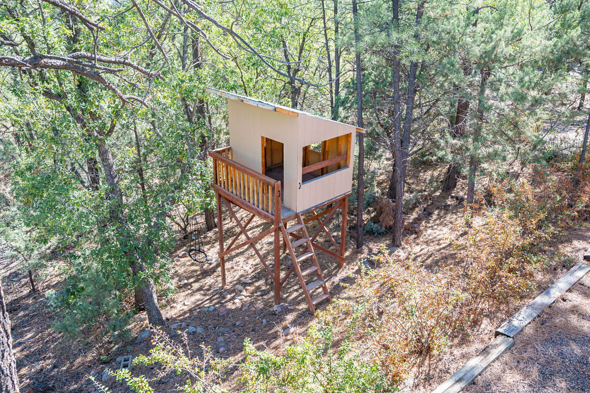 The kids get excited about the tree play house (play at your own risk)