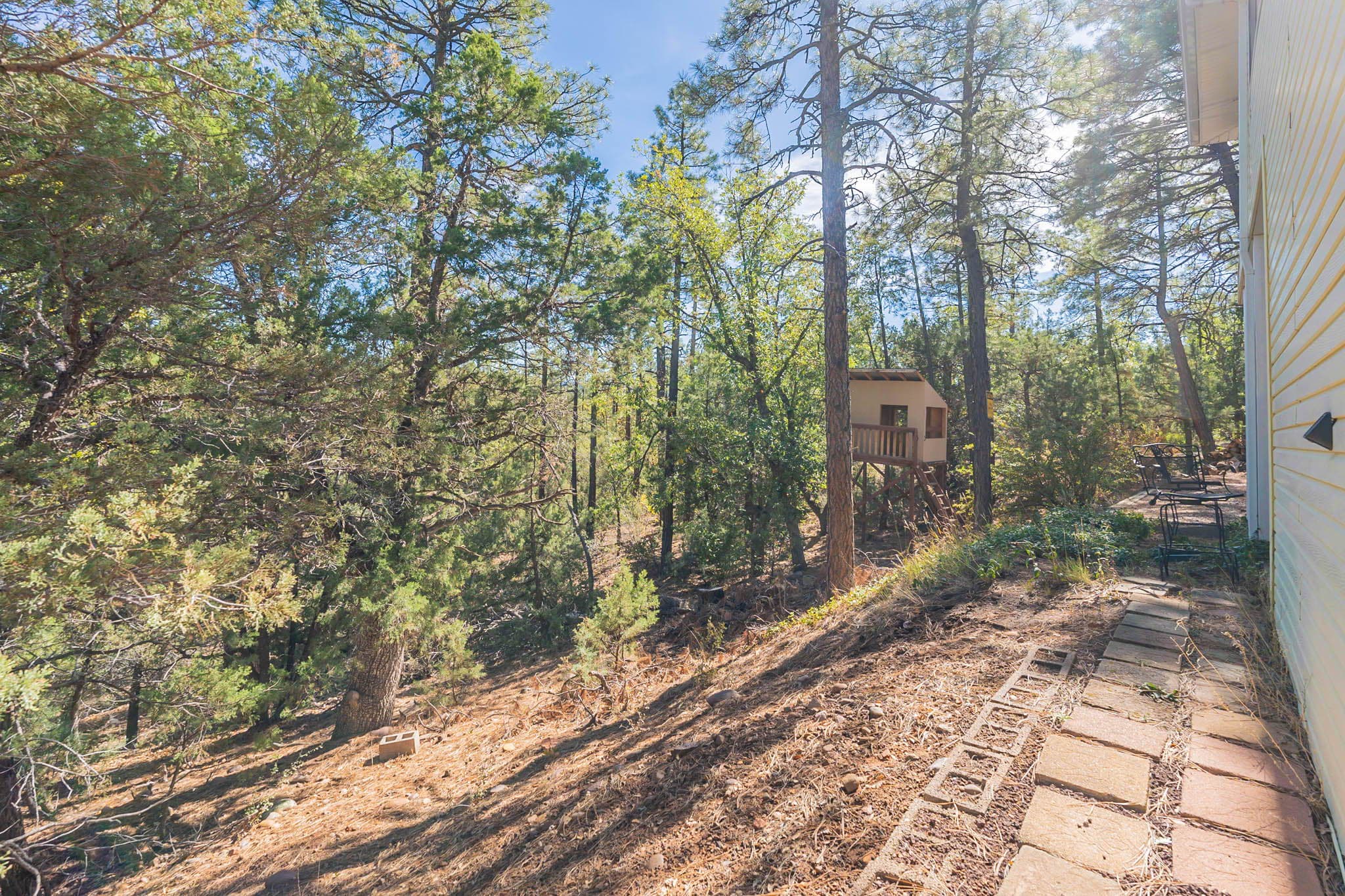 Back and side access to the property