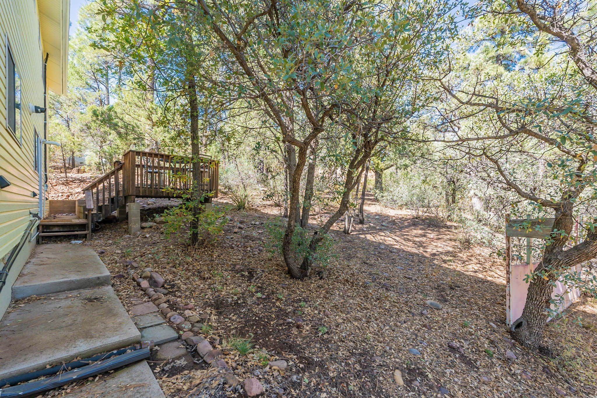 Back deck
