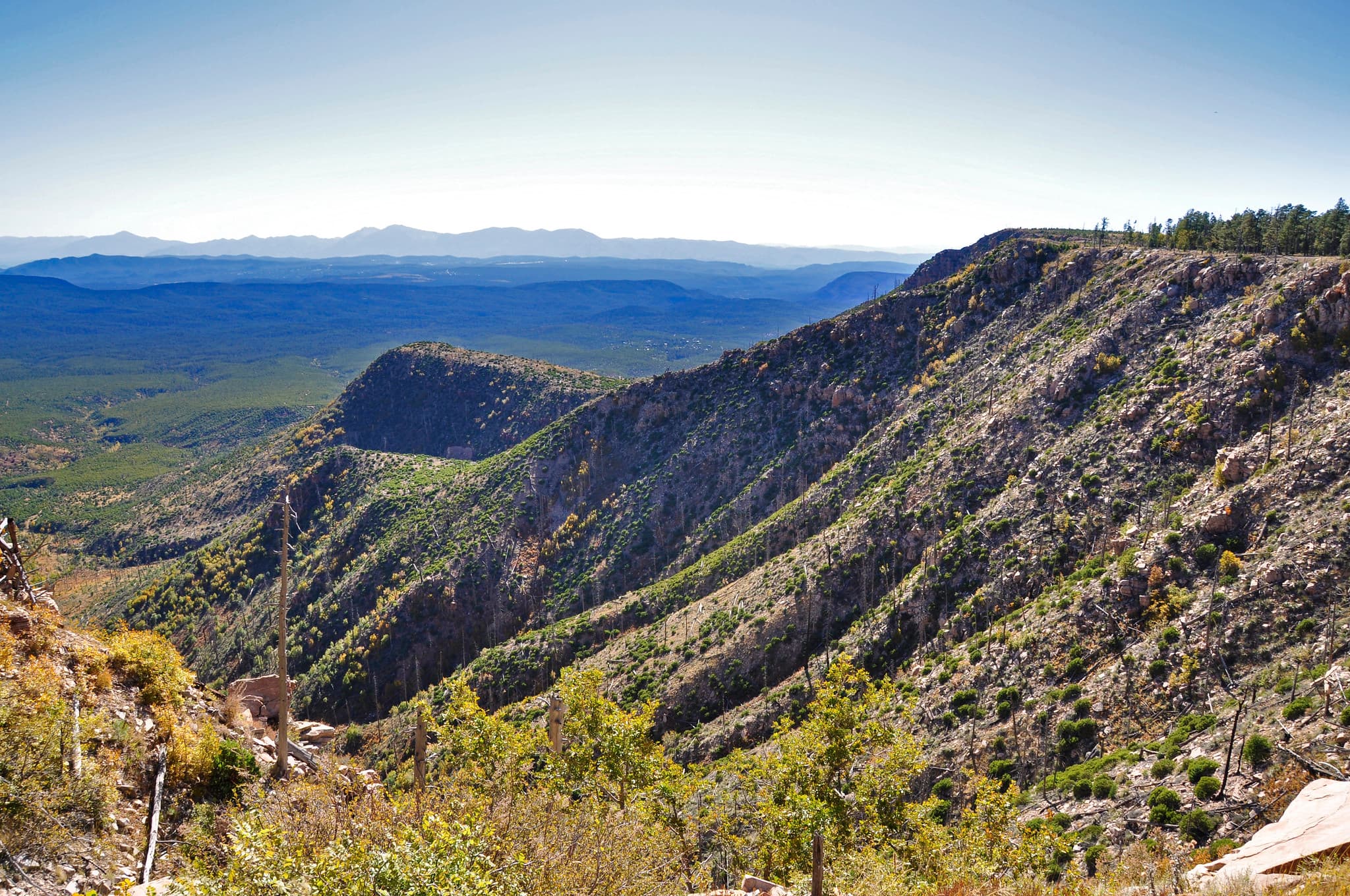 Mogollon Rim