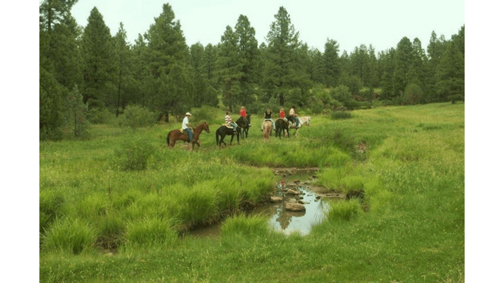 Enjoy a trail ride at Porter Mountain Stables.