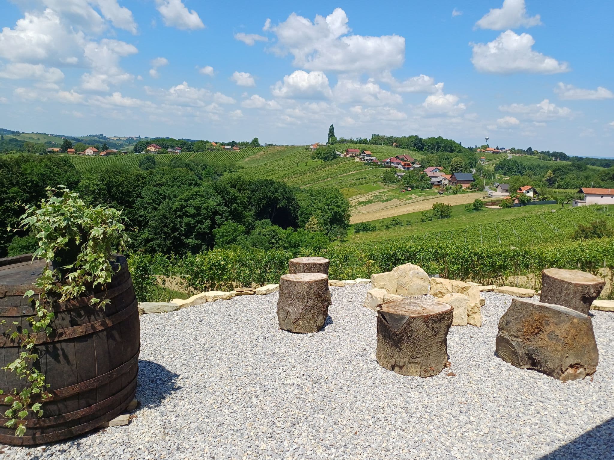View