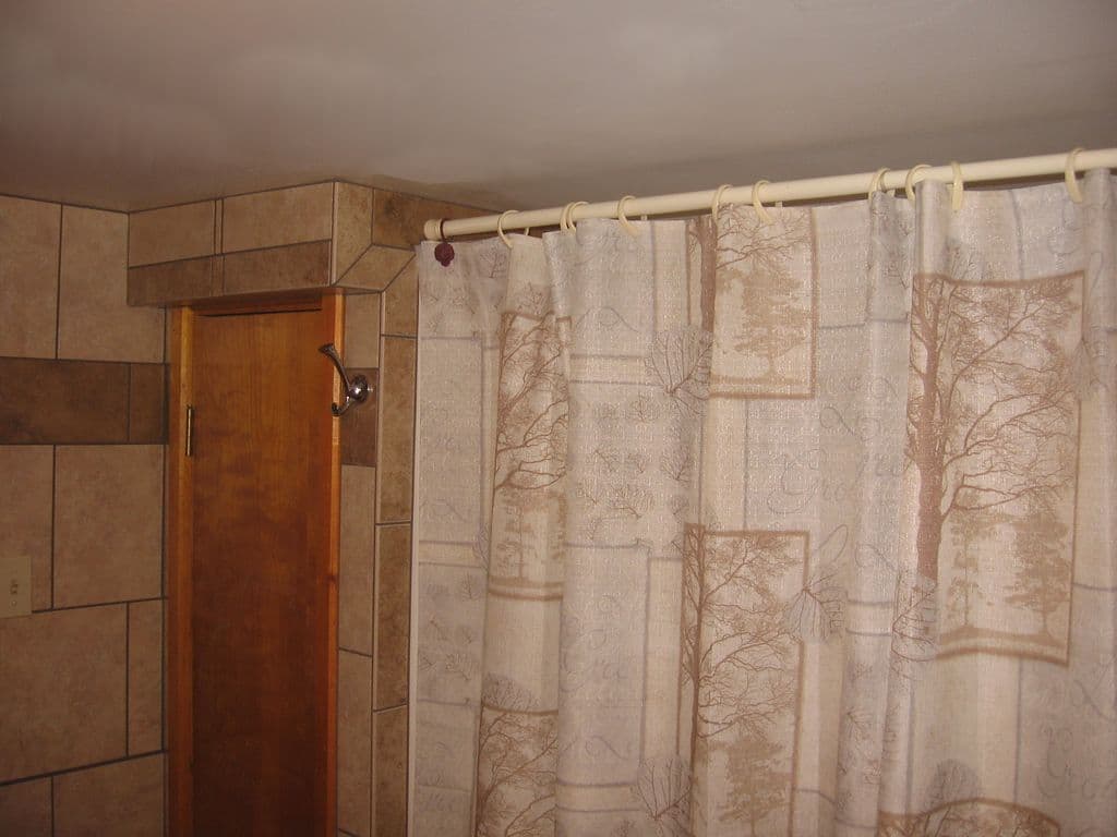 Lower level bathroom