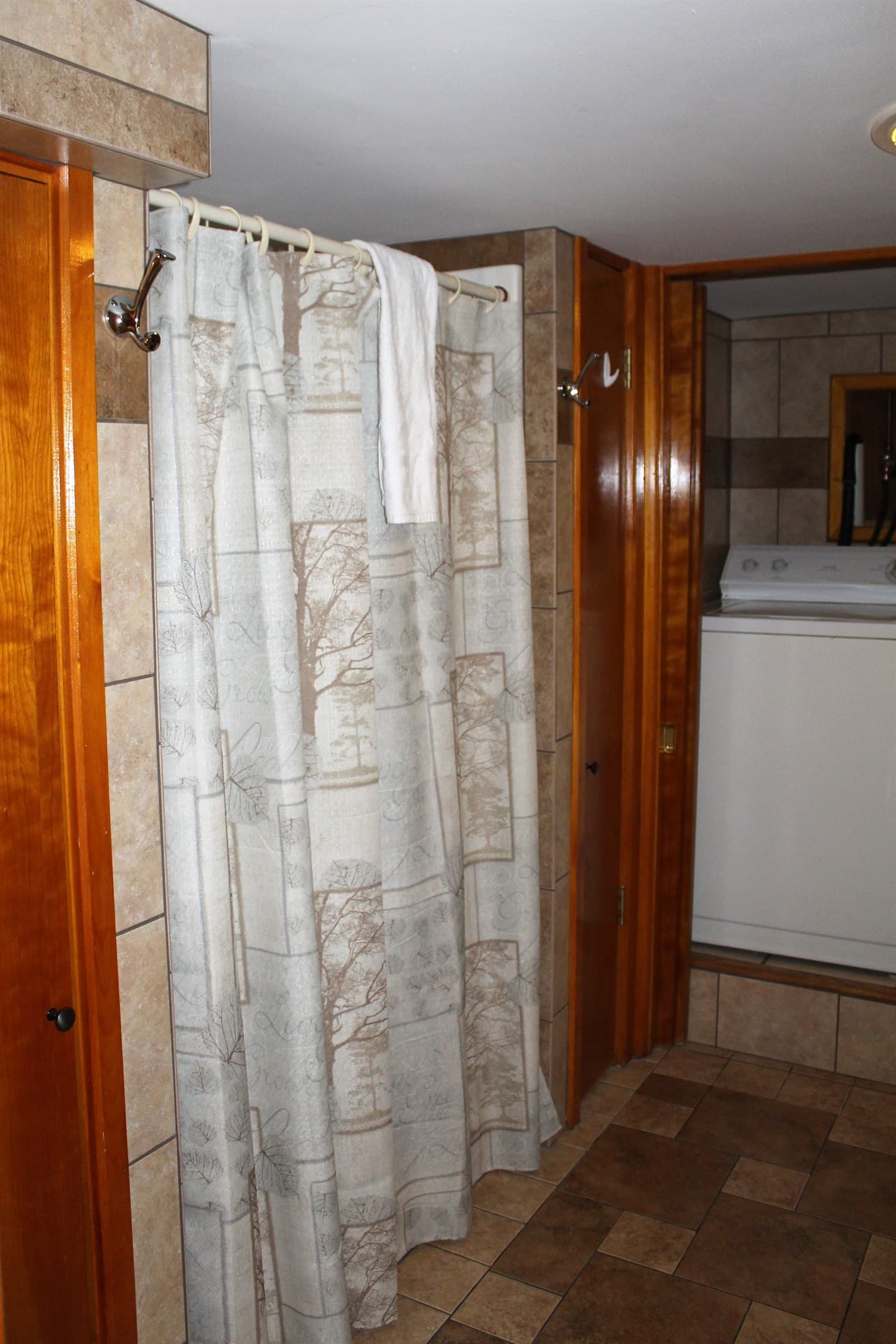 Laundry area in the downstairs bathroom