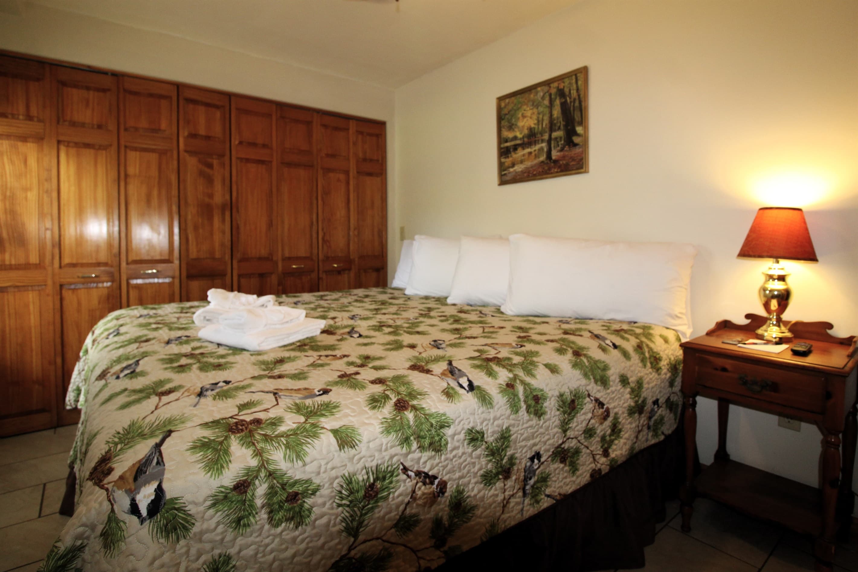 Bedroom 1 - King bed