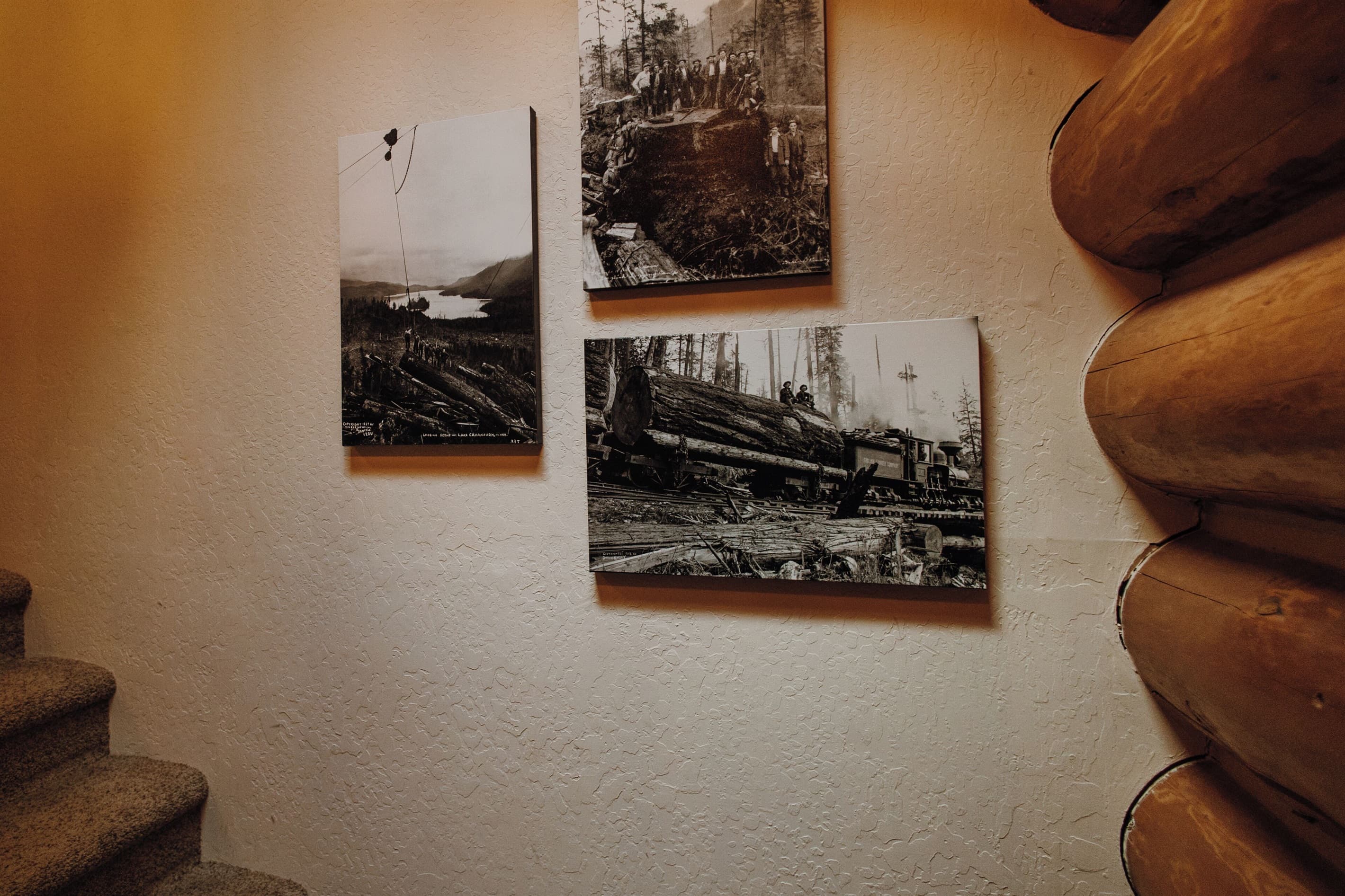 Lake Cavanaugh has a logging history.