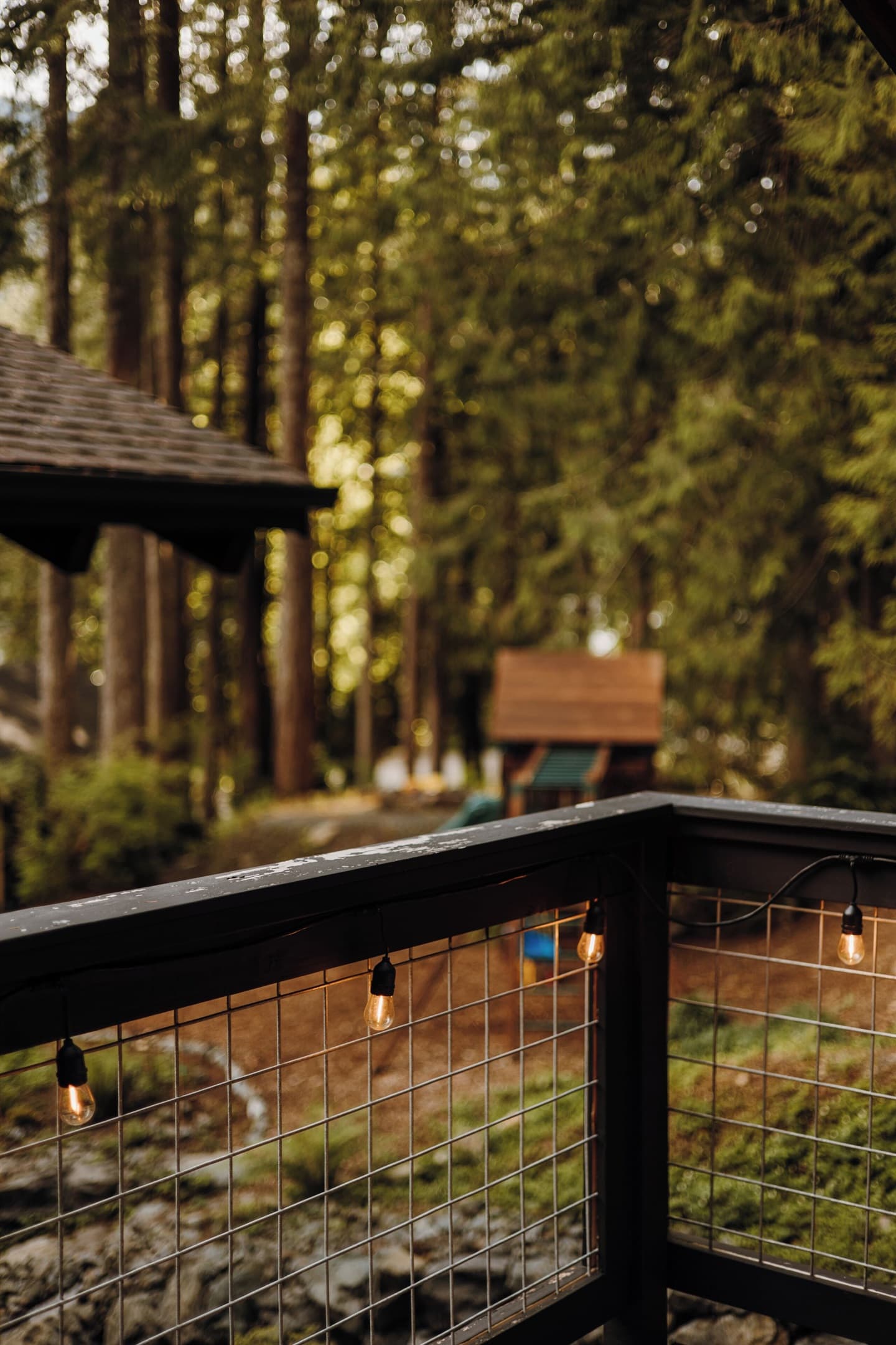 Forest view from the bunk house patio, located behind the main house.