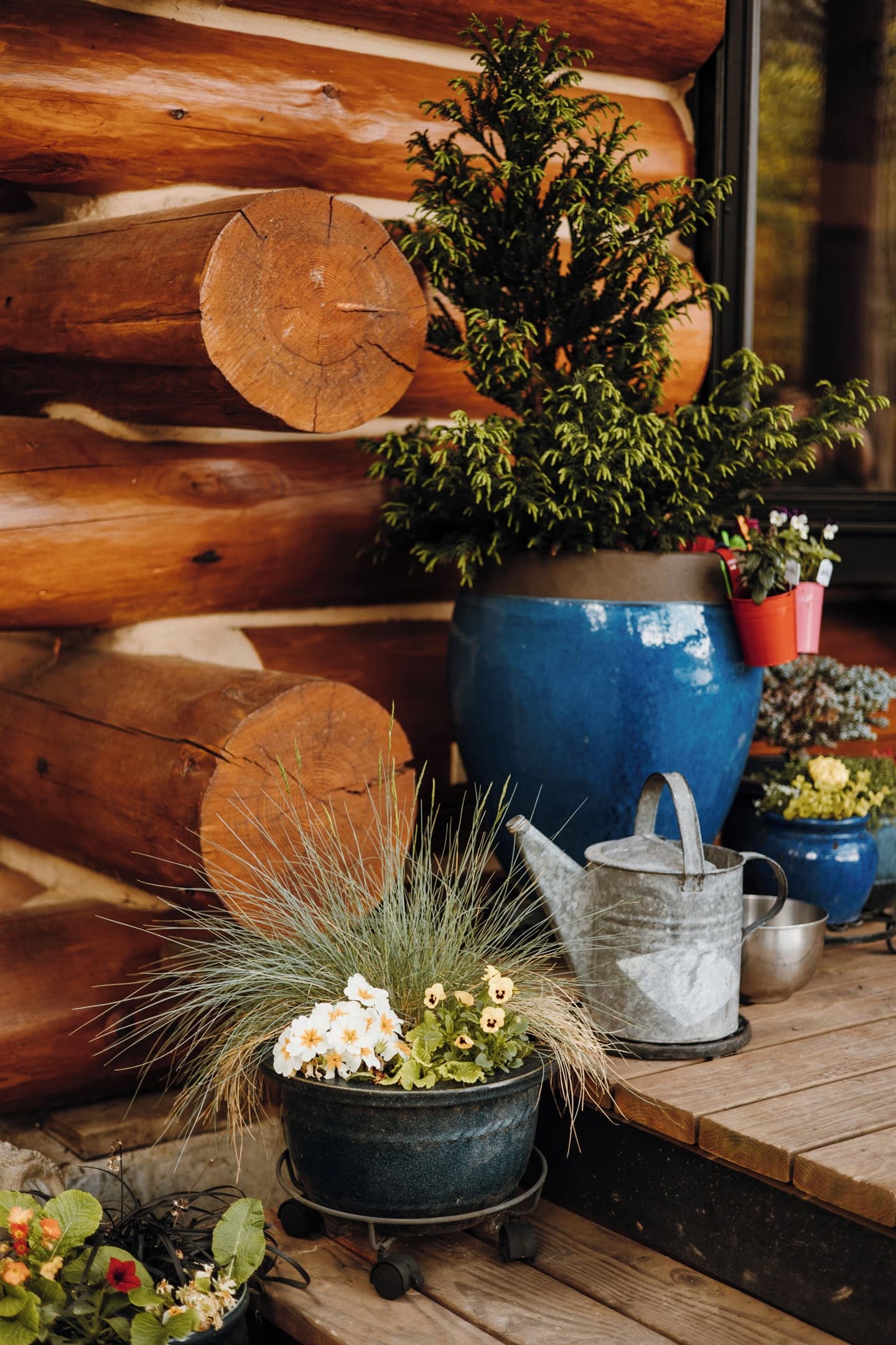 Front deck.