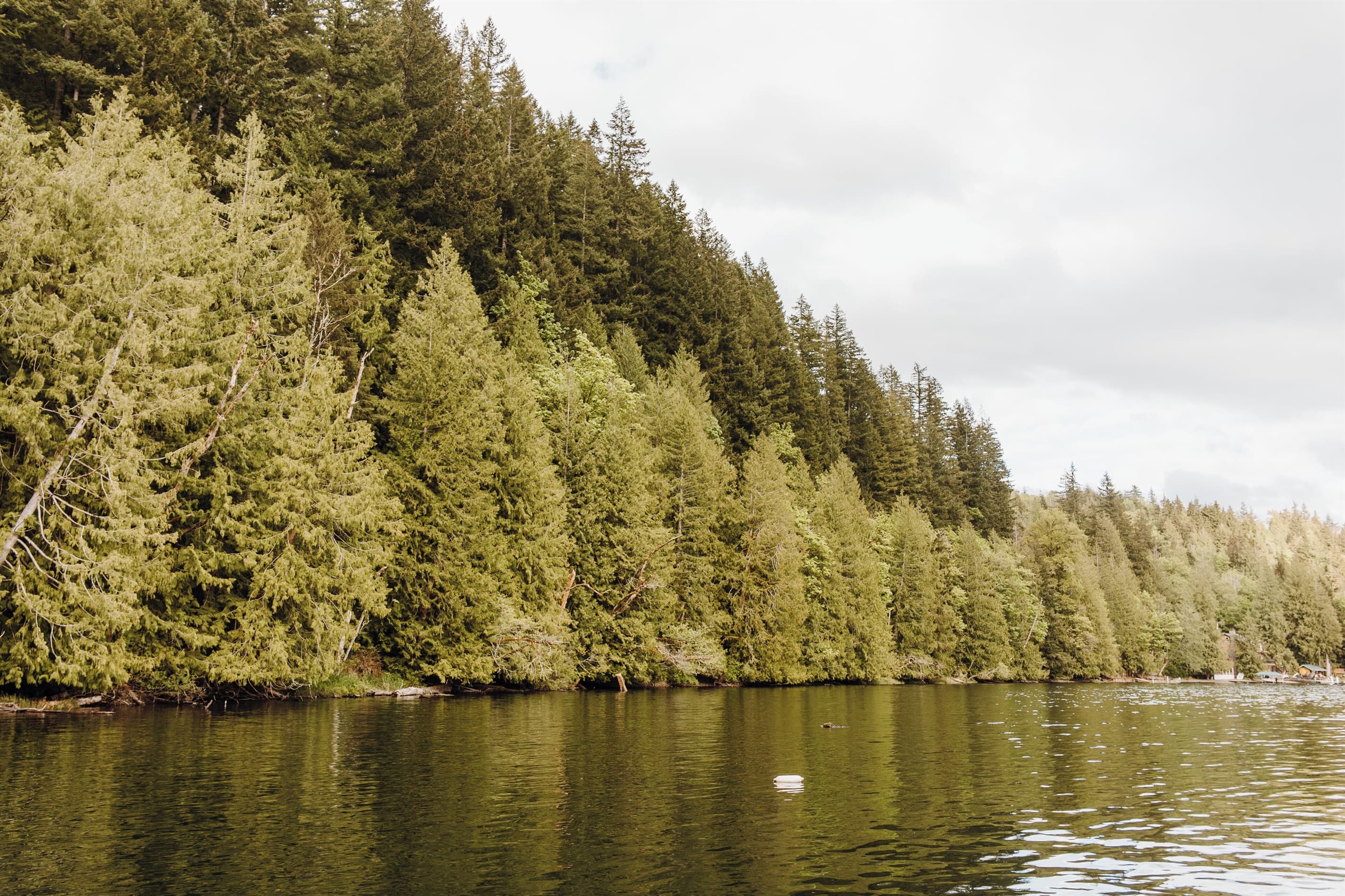 Lake view.