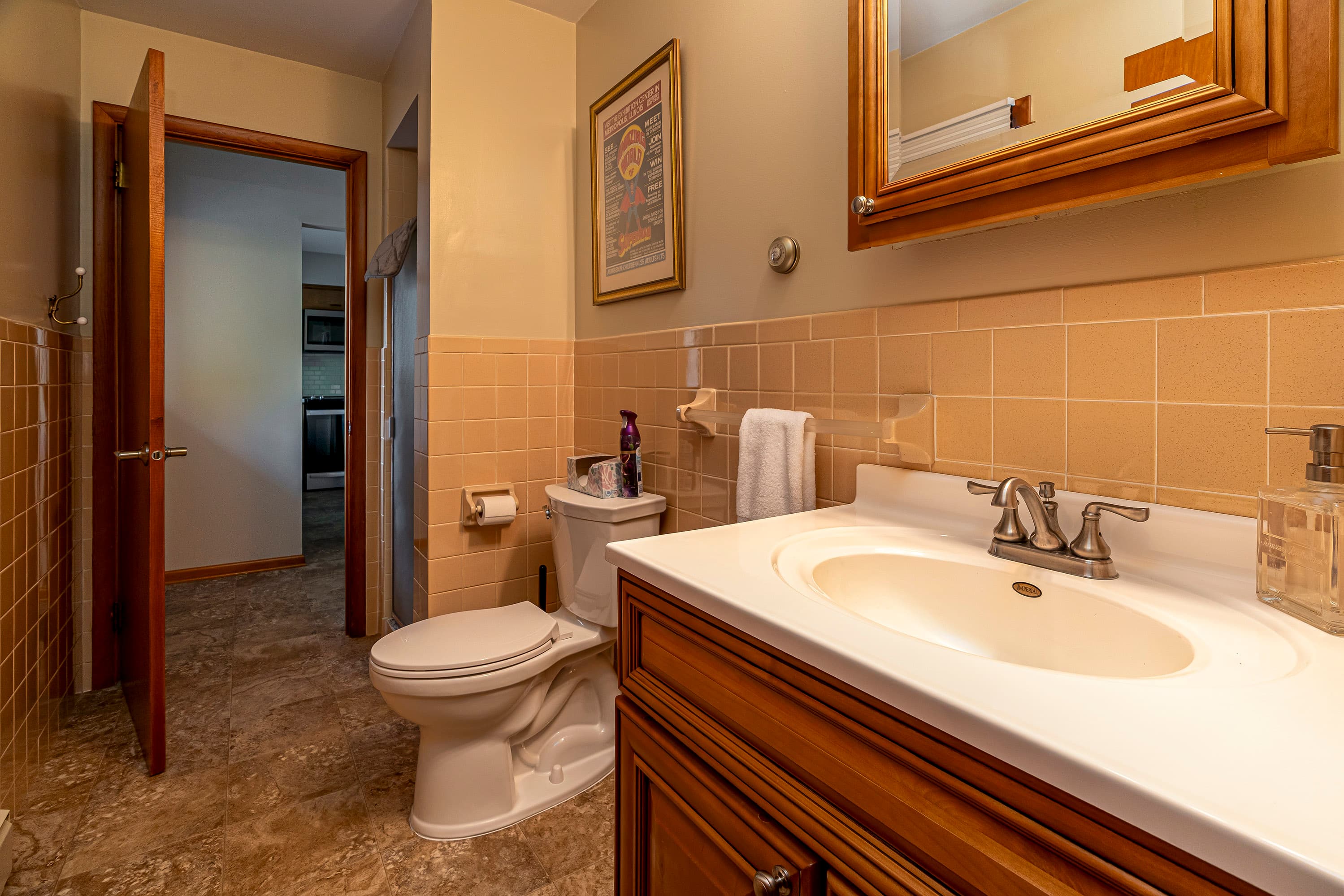 Hall Bathroom Main Level