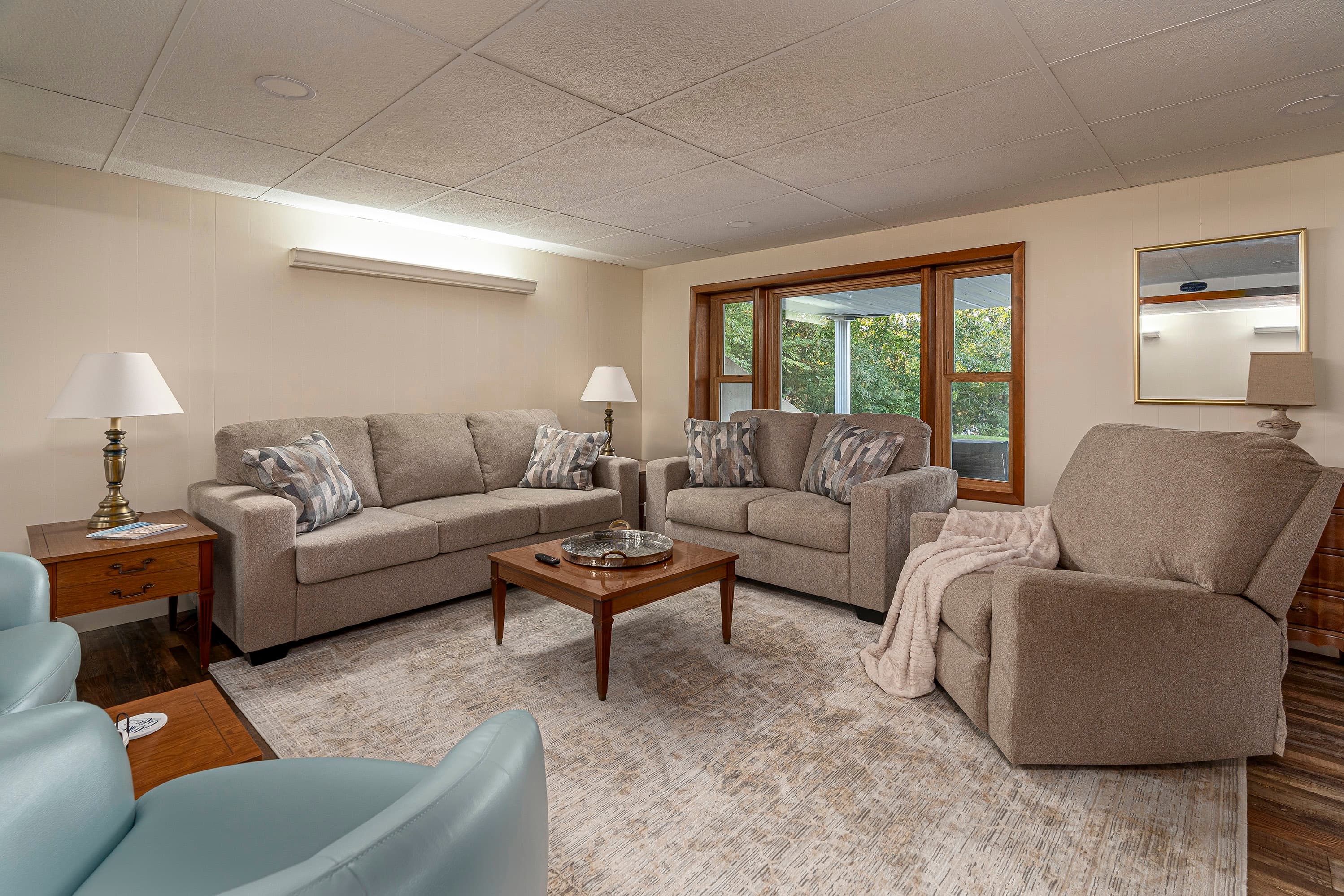 Lower Level Living room