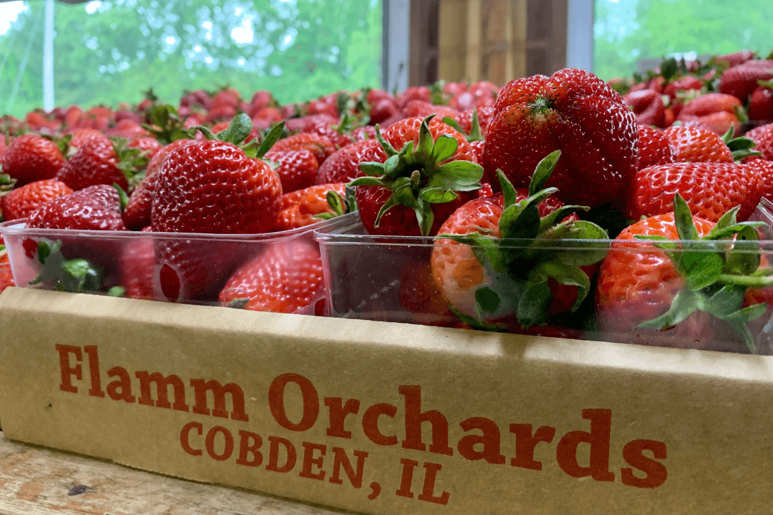 Orchard country just 35 minutes away