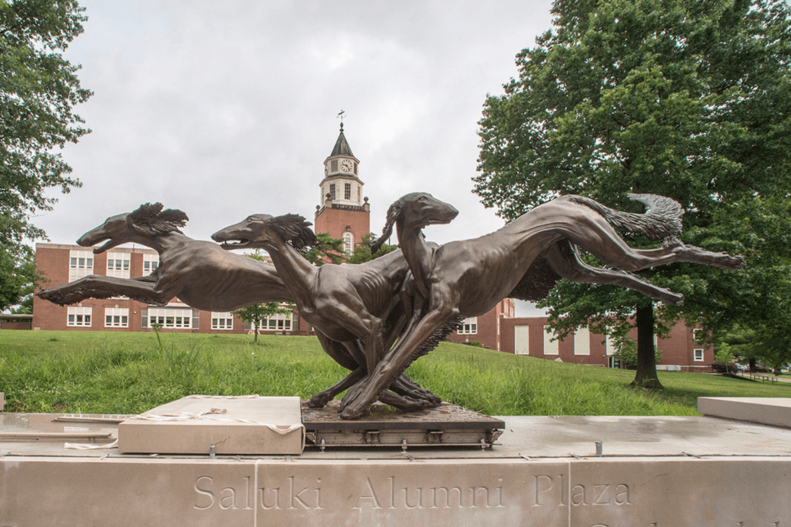 30 minutes from SIU Campus