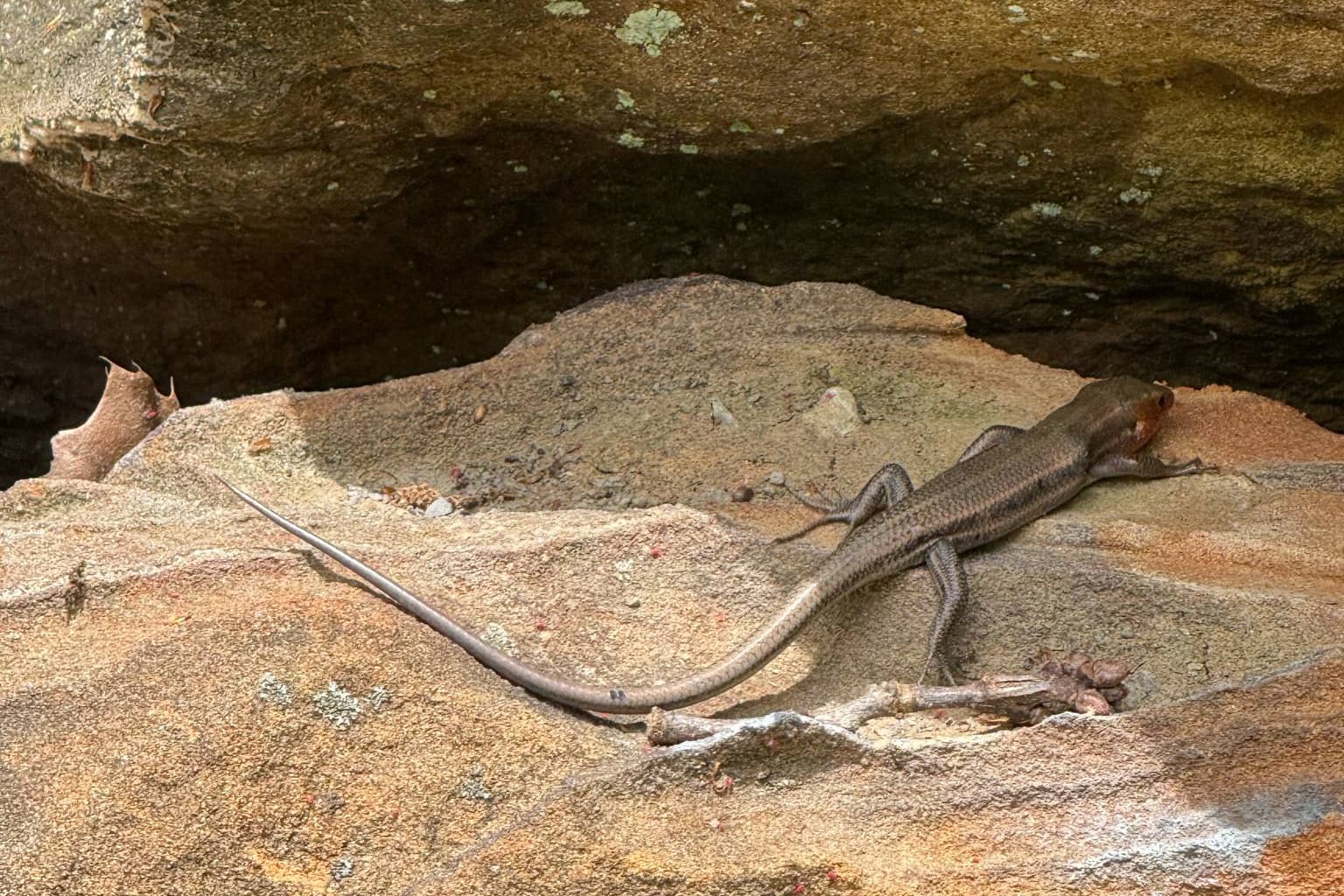 Wildlife abound!