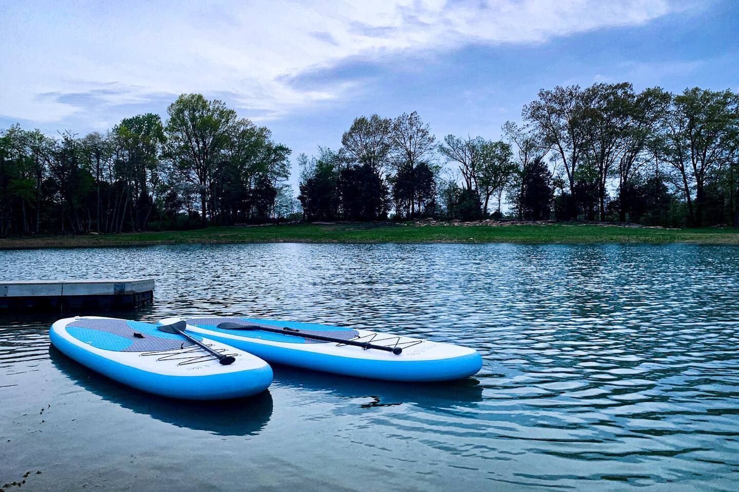 Paddle boards on the pond