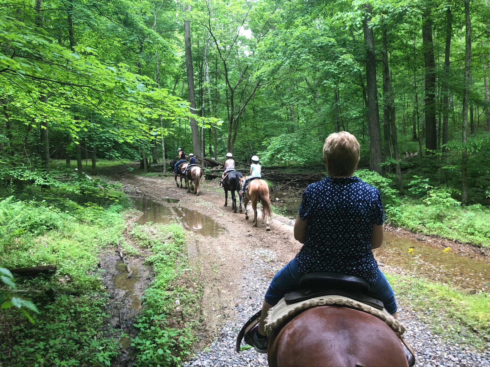 Horseback riding