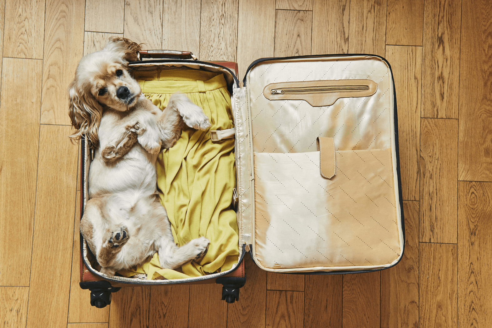 Pet Friendly- $100/pet, per stay