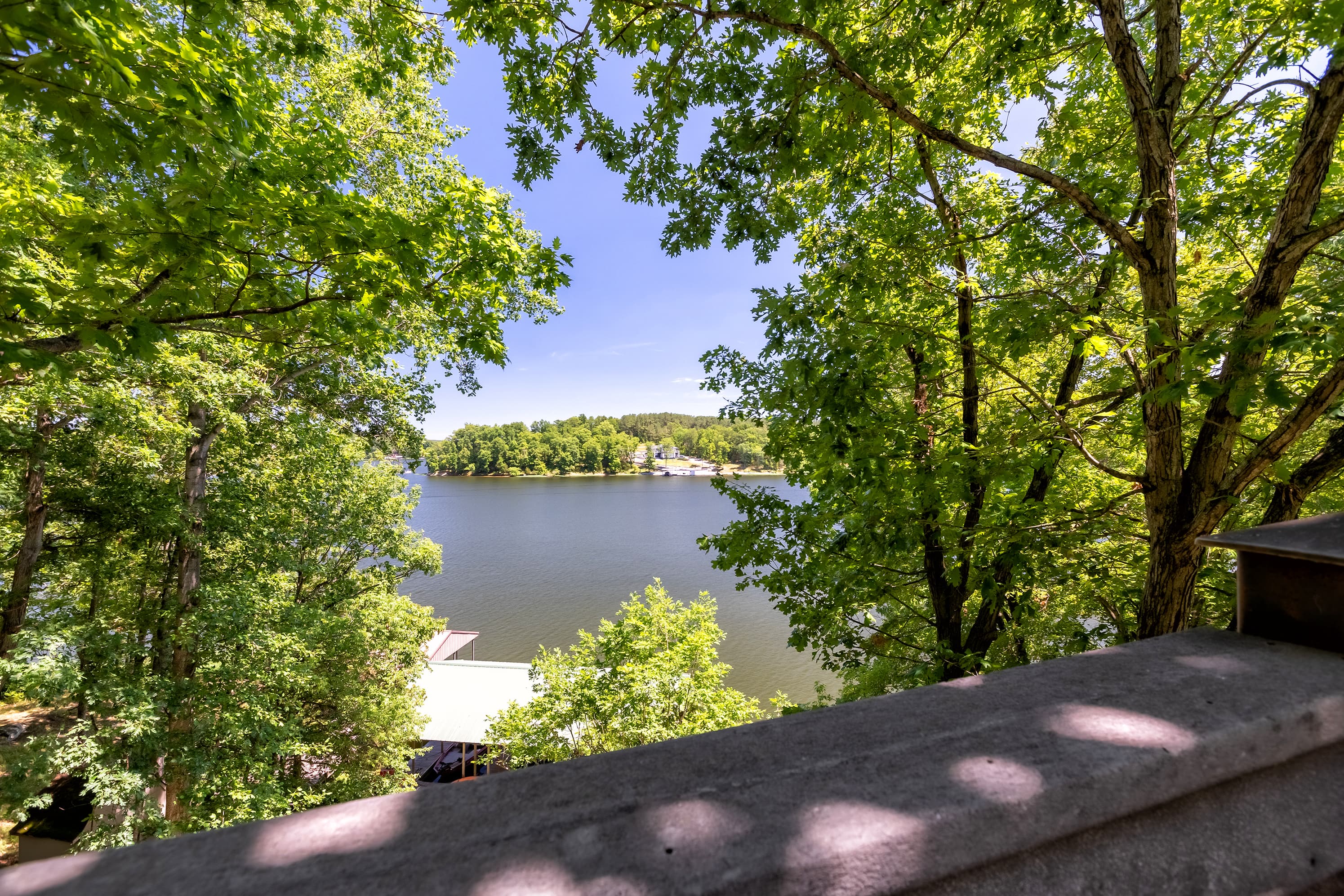 Lake views 