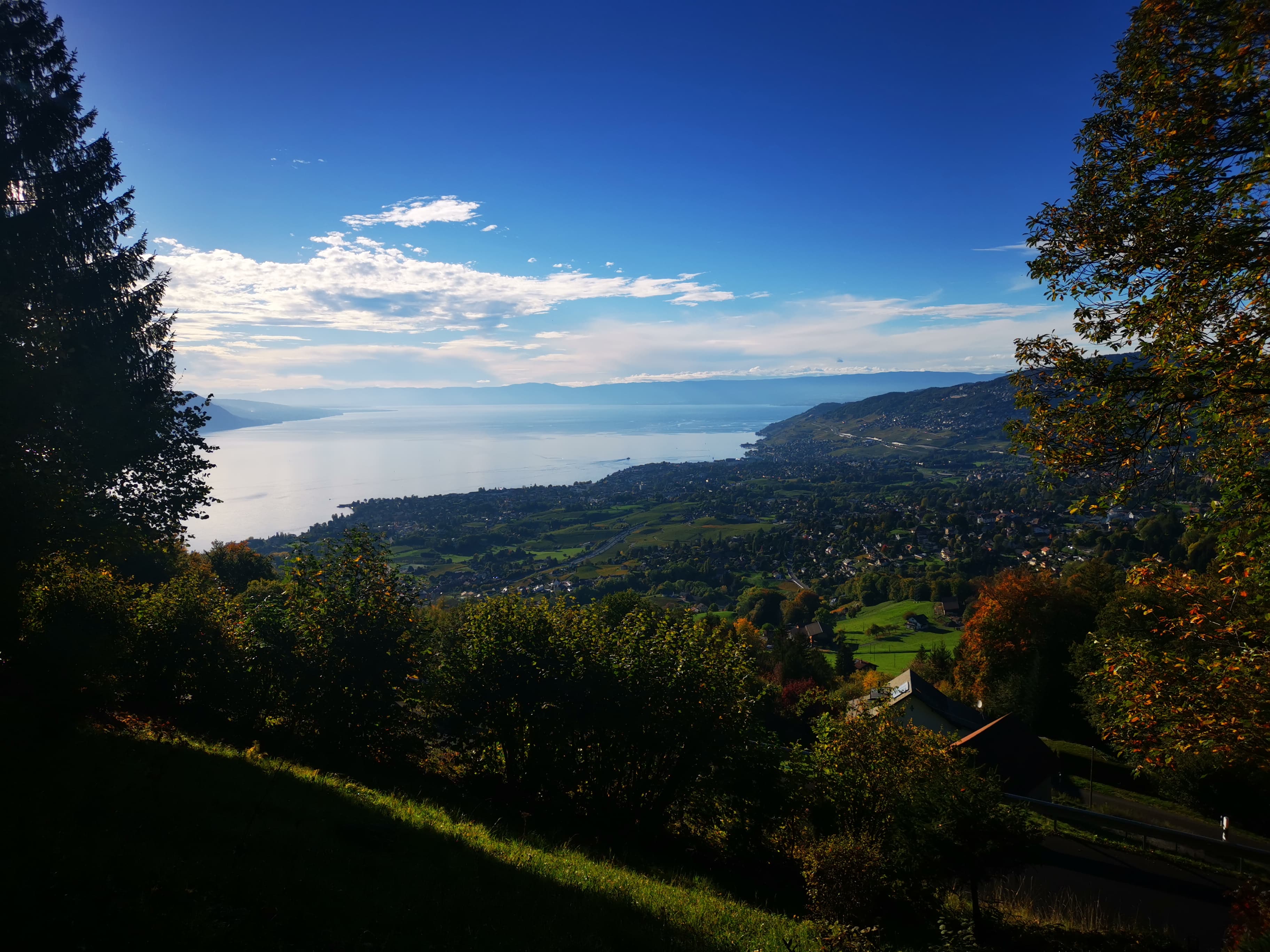 View of Lake Geneva and Montreux la Riviera