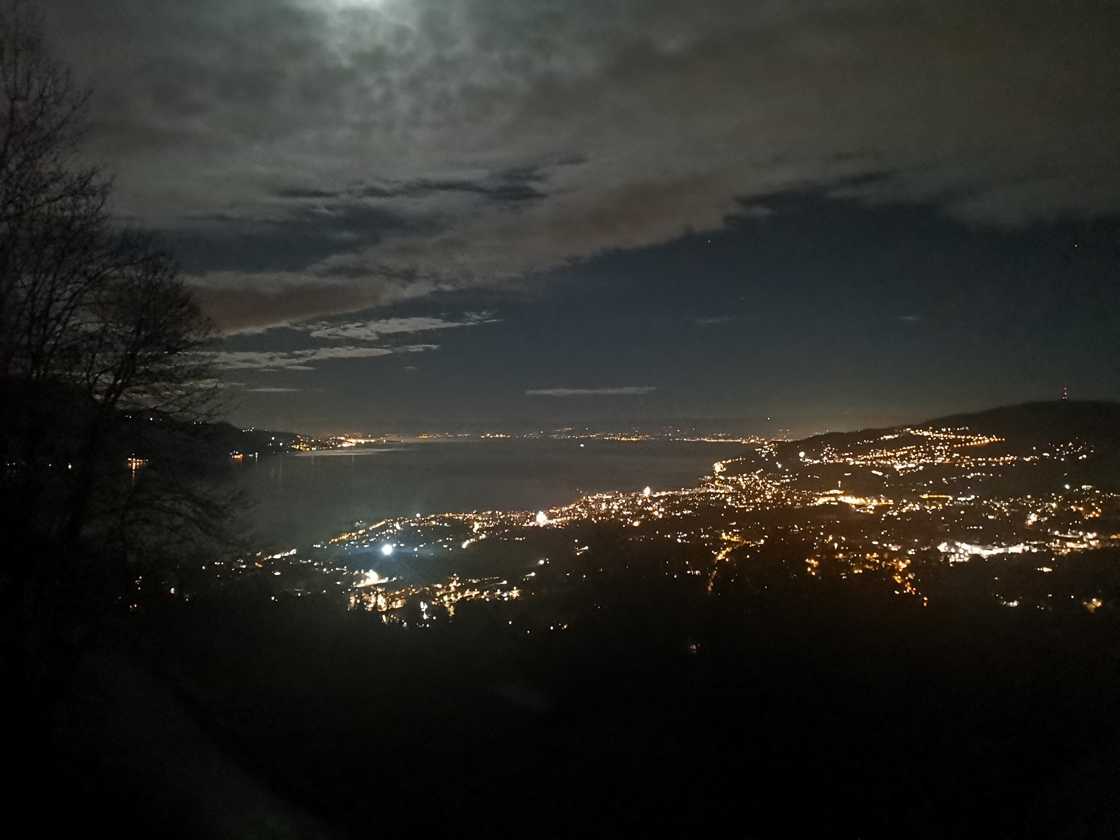 View of Lake Geneva and Montreux la Riviera