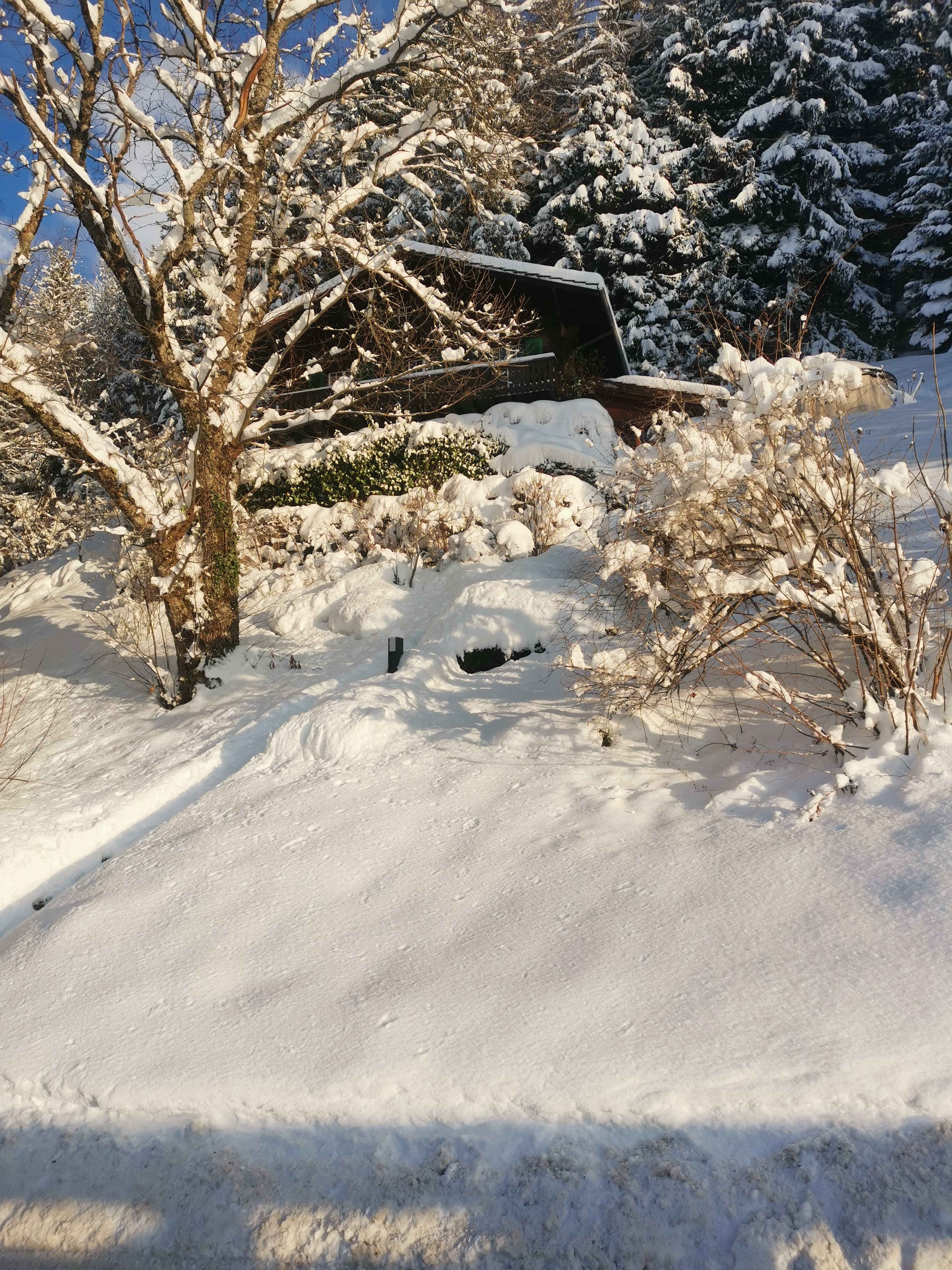 Winter Chalet