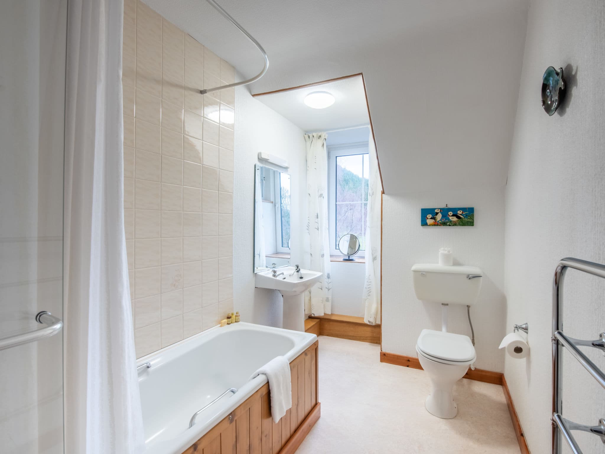 Bathroom / Wellness