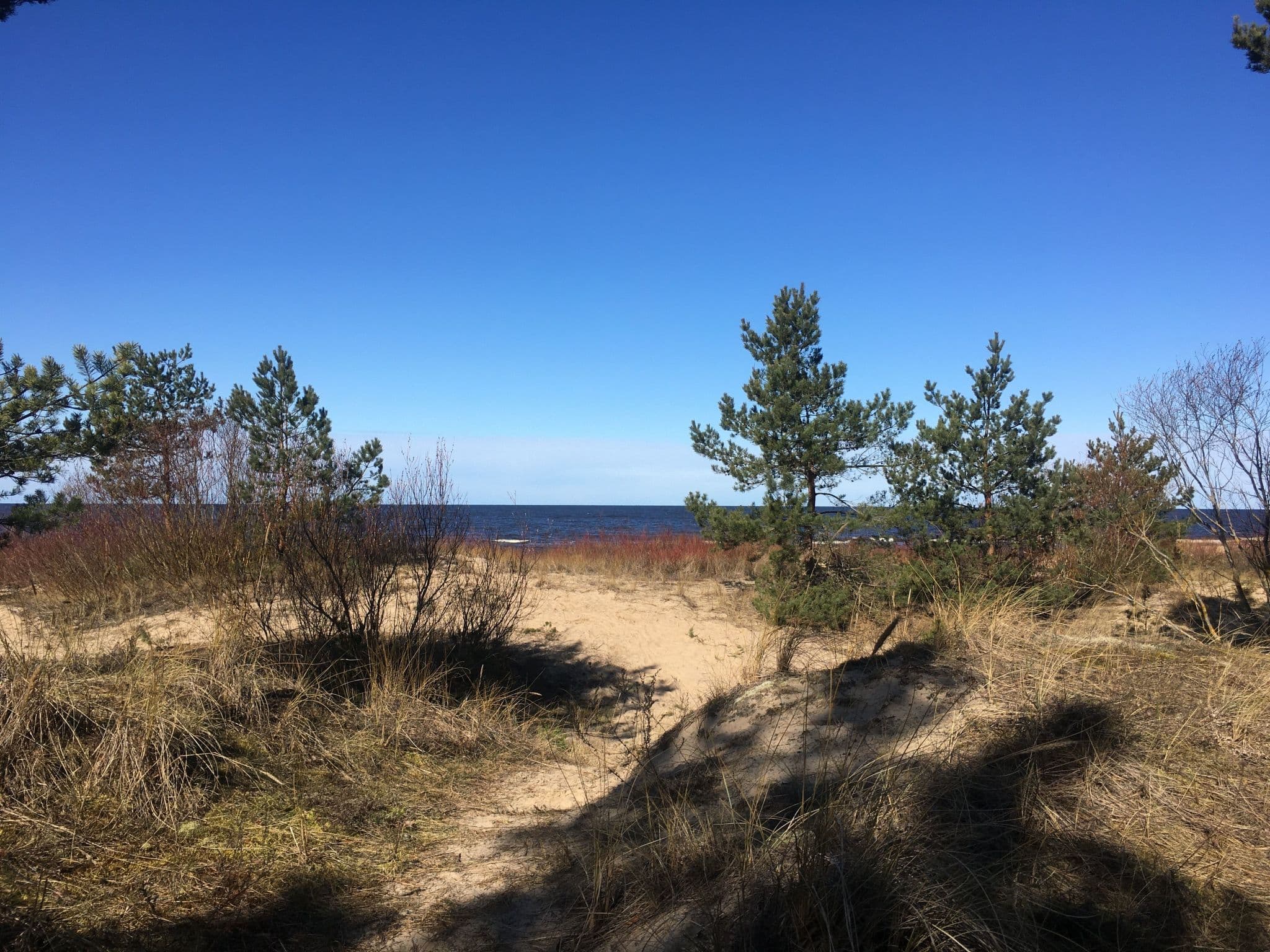Beach